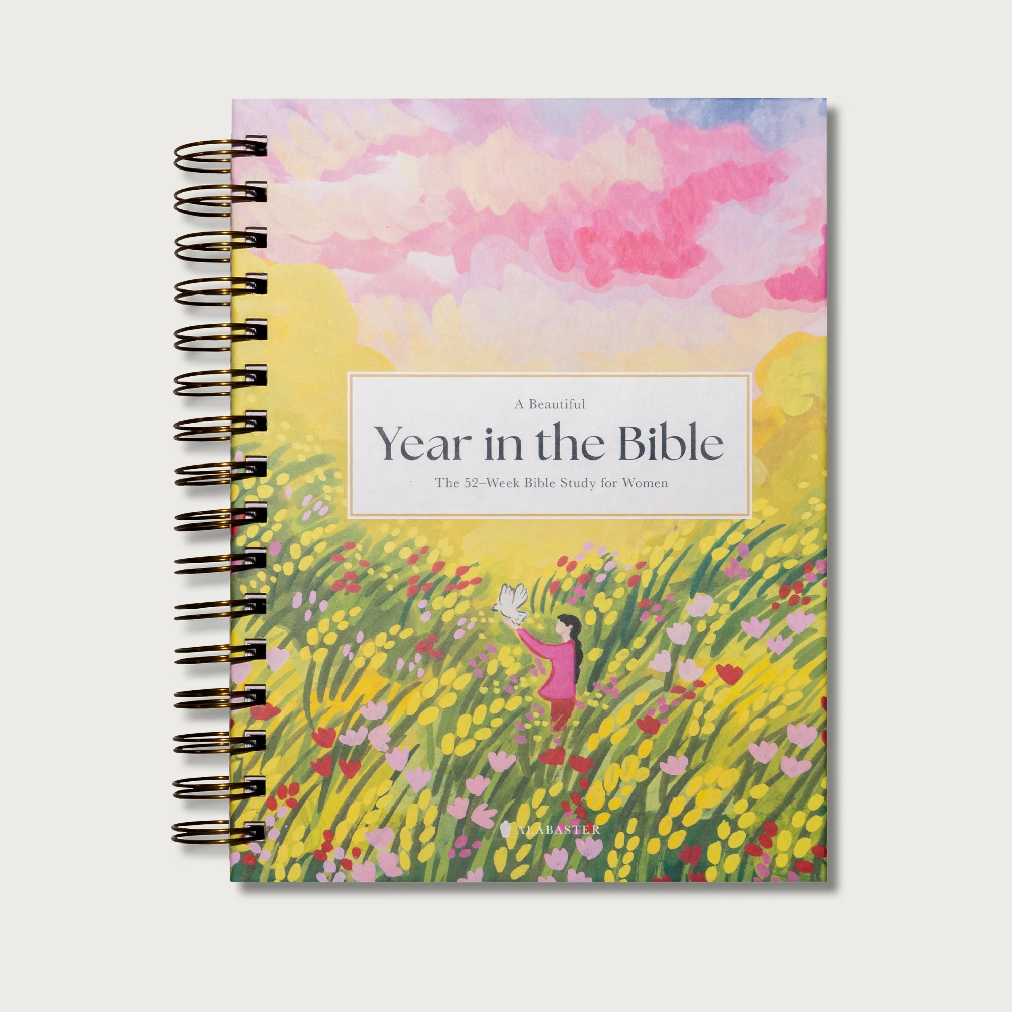 A Beautiful Year in the Bible: The 52-Week Bible Study for Women - Image 10