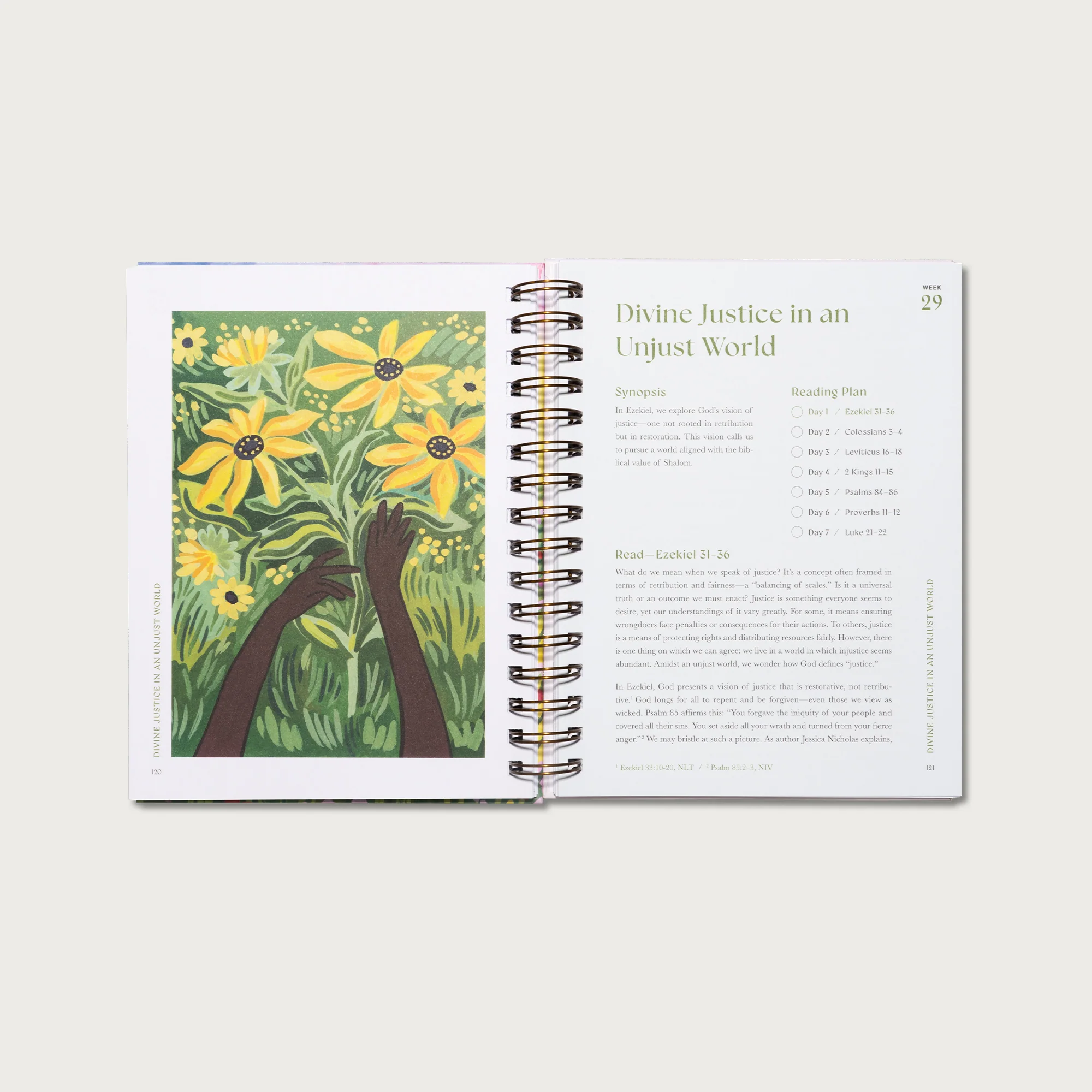 A Beautiful Year in the Bible: The 52-Week Bible Study for Women - Image 11