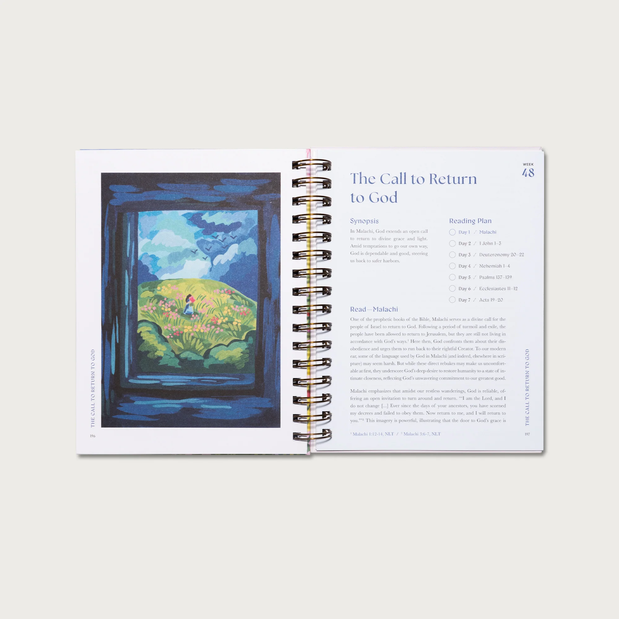 A Beautiful Year in the Bible: The 52-Week Bible Study for Women - Image 12