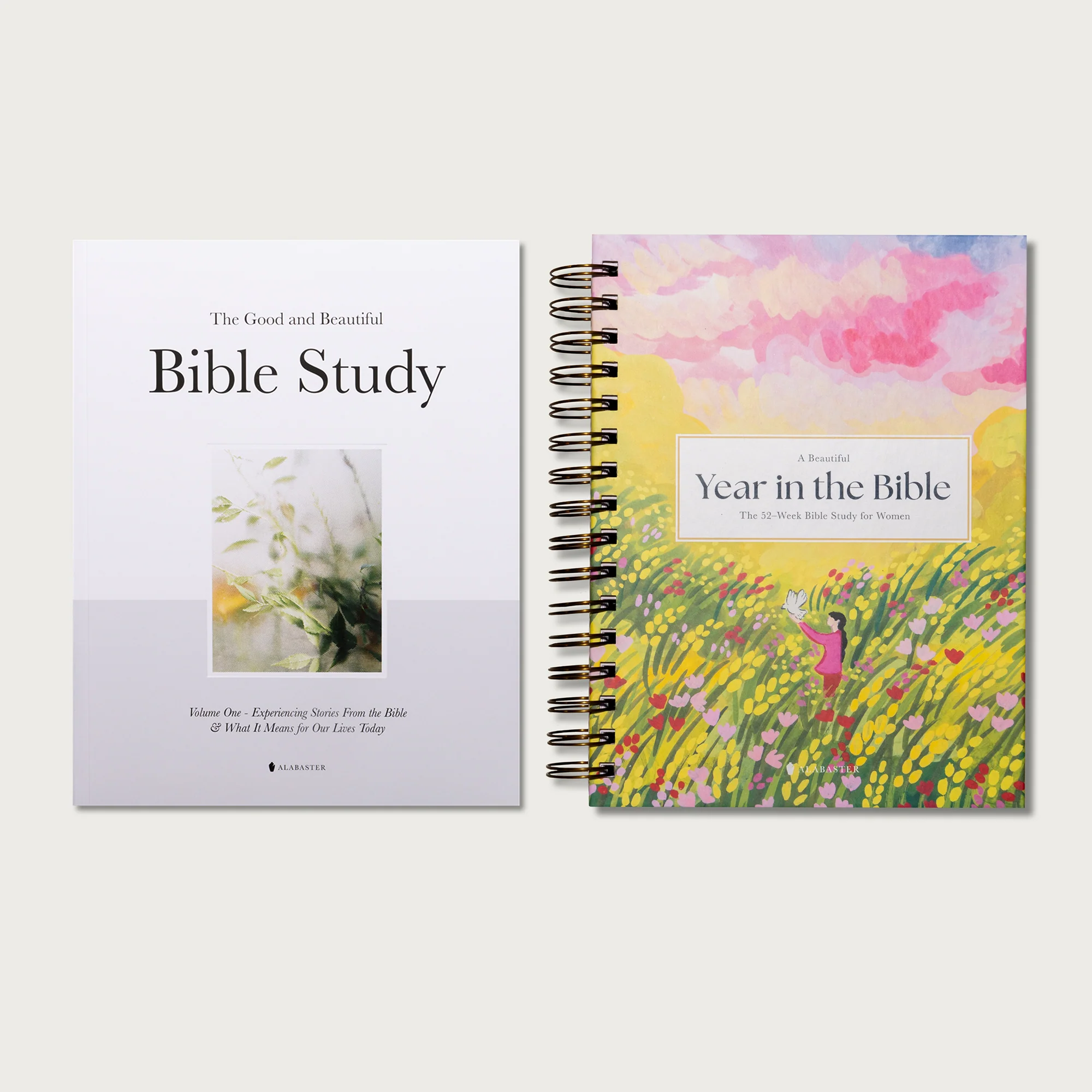 A Beautiful Year in the Bible: The 52-Week Bible Study for Women - Image 20