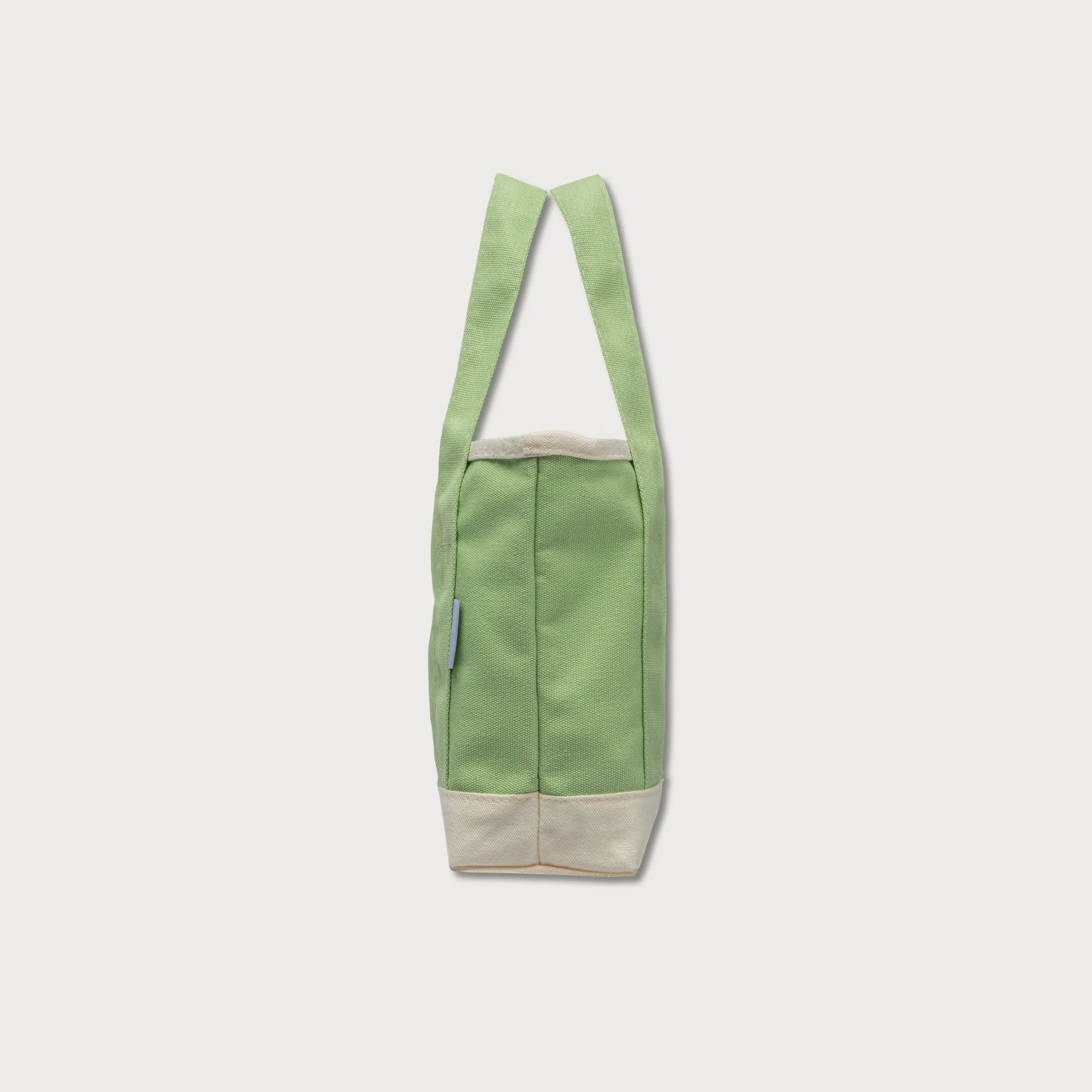 A Beautiful Year with Jesus Mini Canvas Tote Bag - Image 5