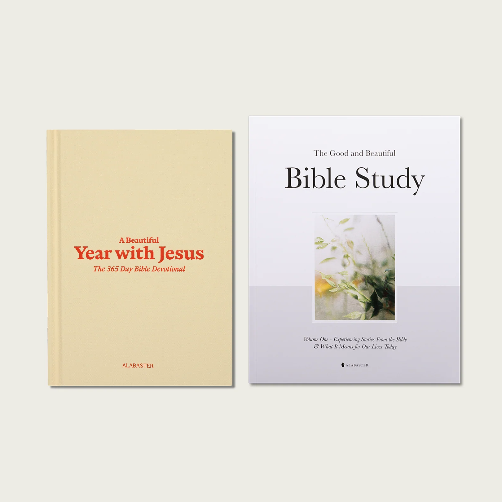 A Beautiful Year with Jesus: The 365 Day Bible Devotional - Image 17