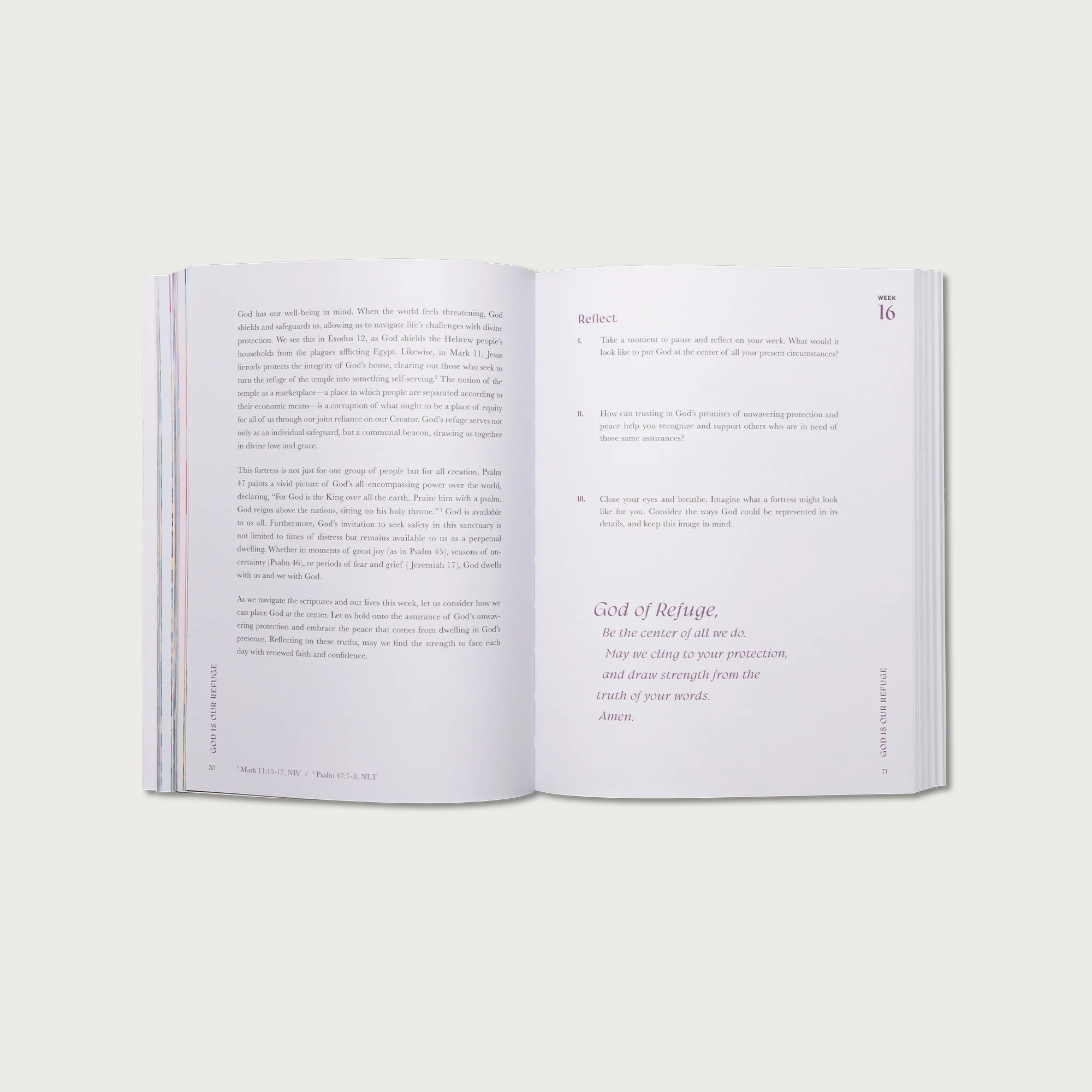 A Beautiful Year in the Bible: The 52-Week Bible Study for Women - Image 5