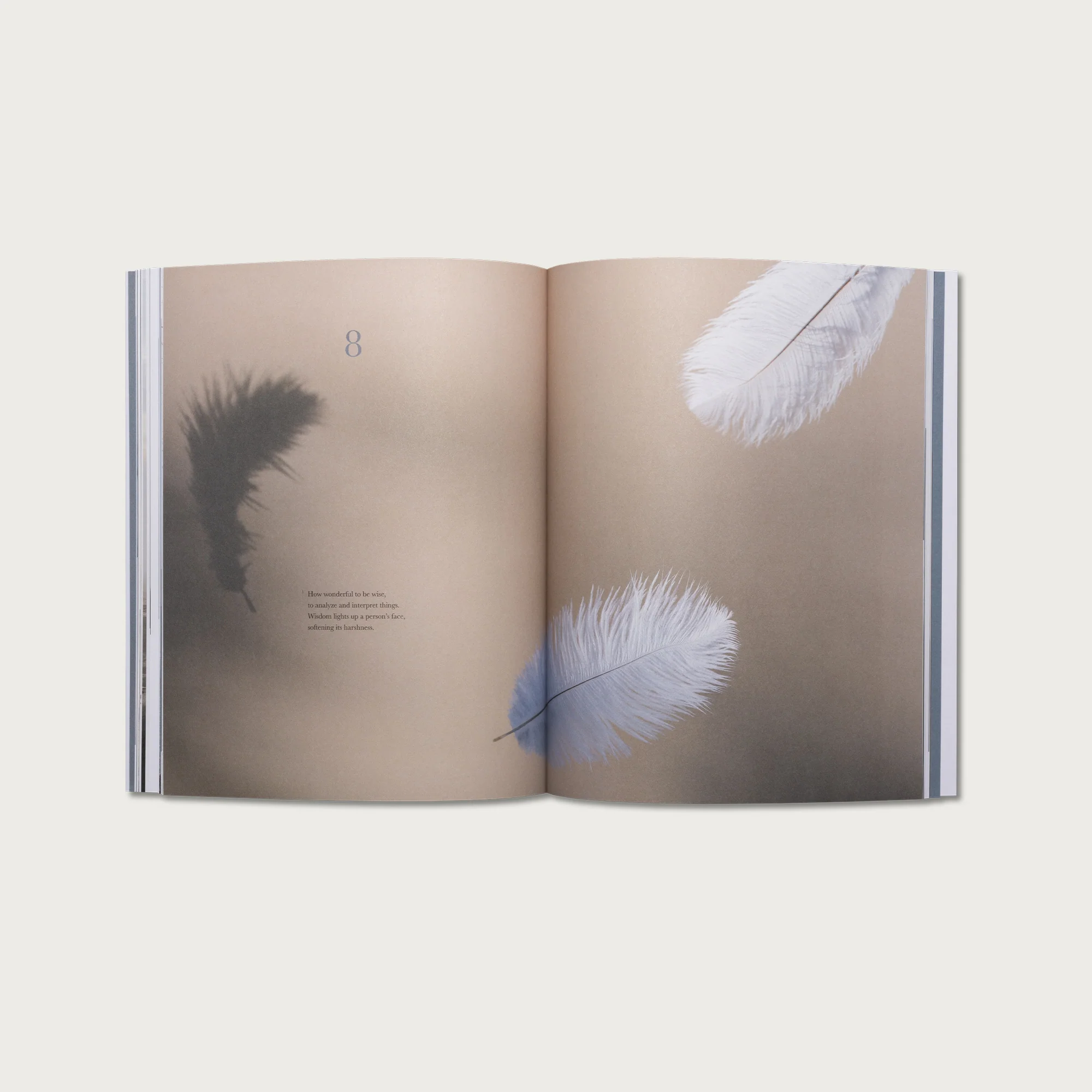 The Book of Ecclesiastes - Image 5