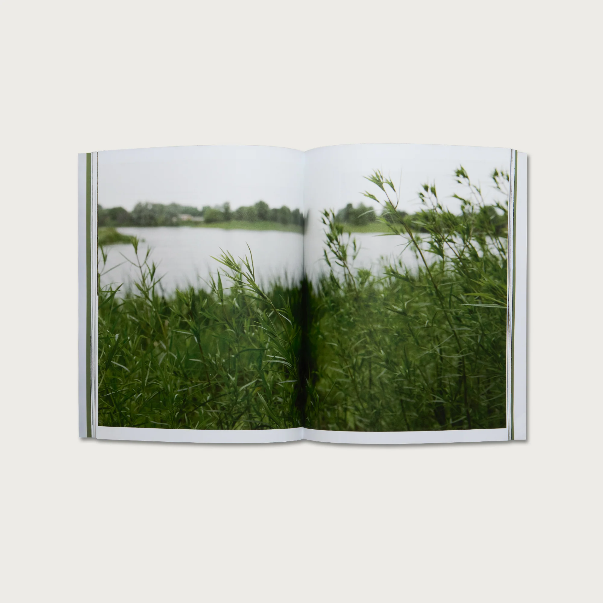 The Book of Hebrews - Image 5