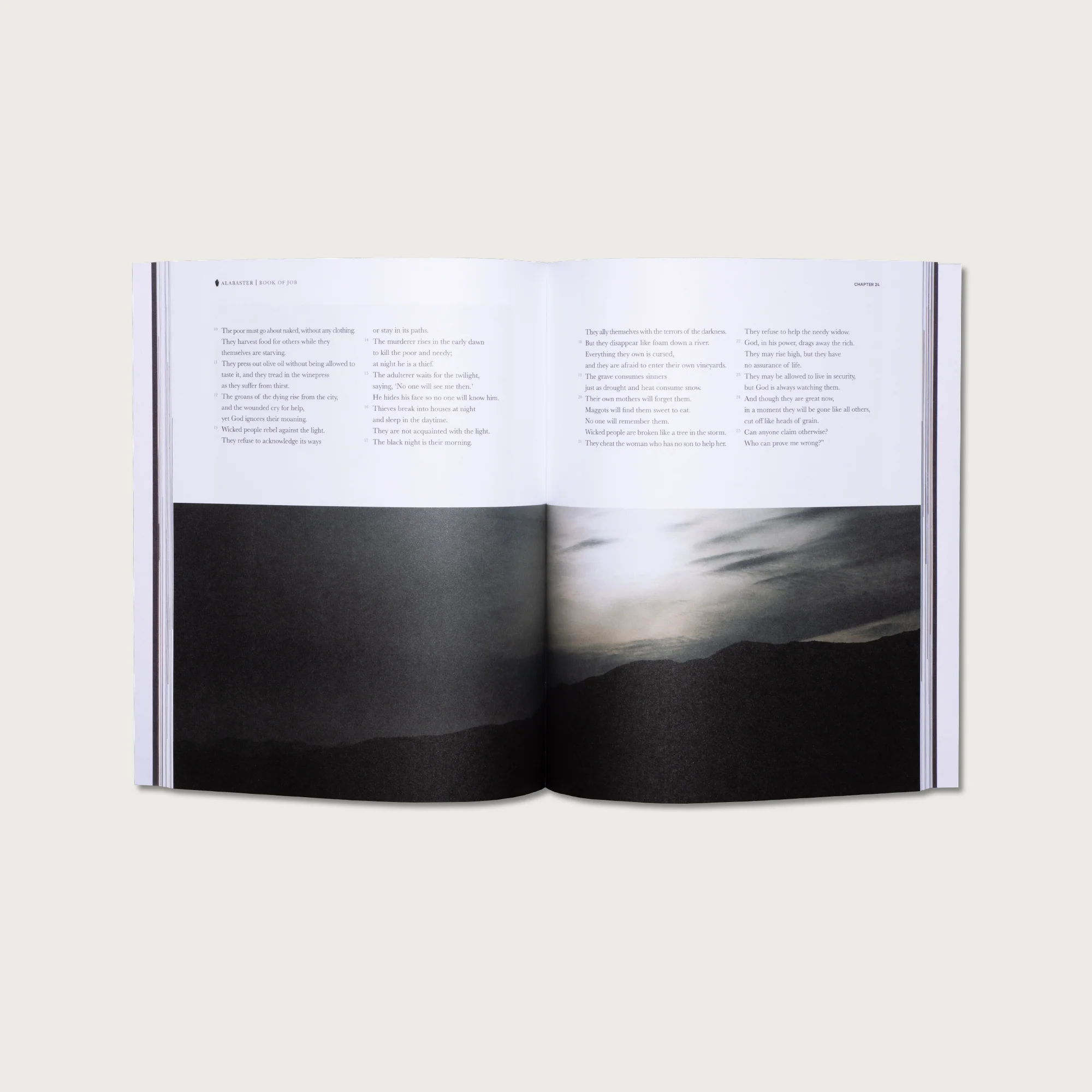 The Book of Job - Image 4