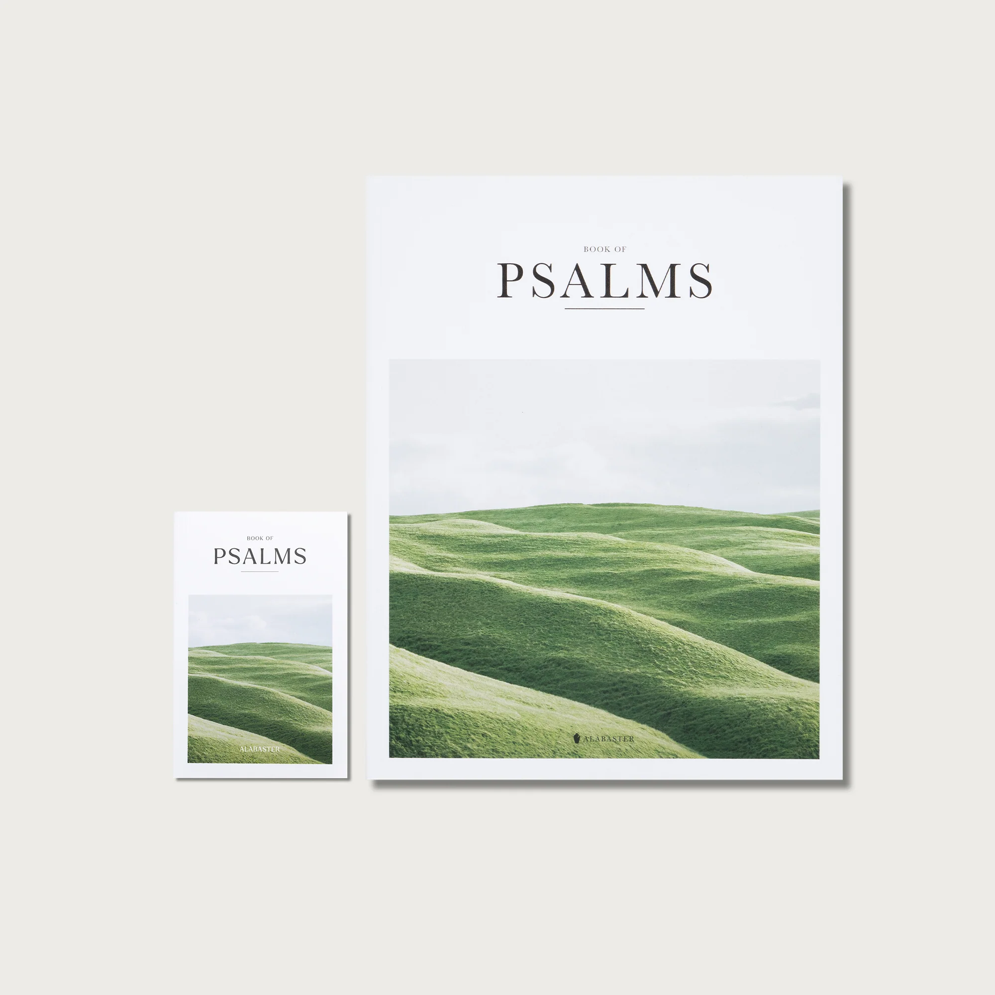 The Book of Psalms - Image 12