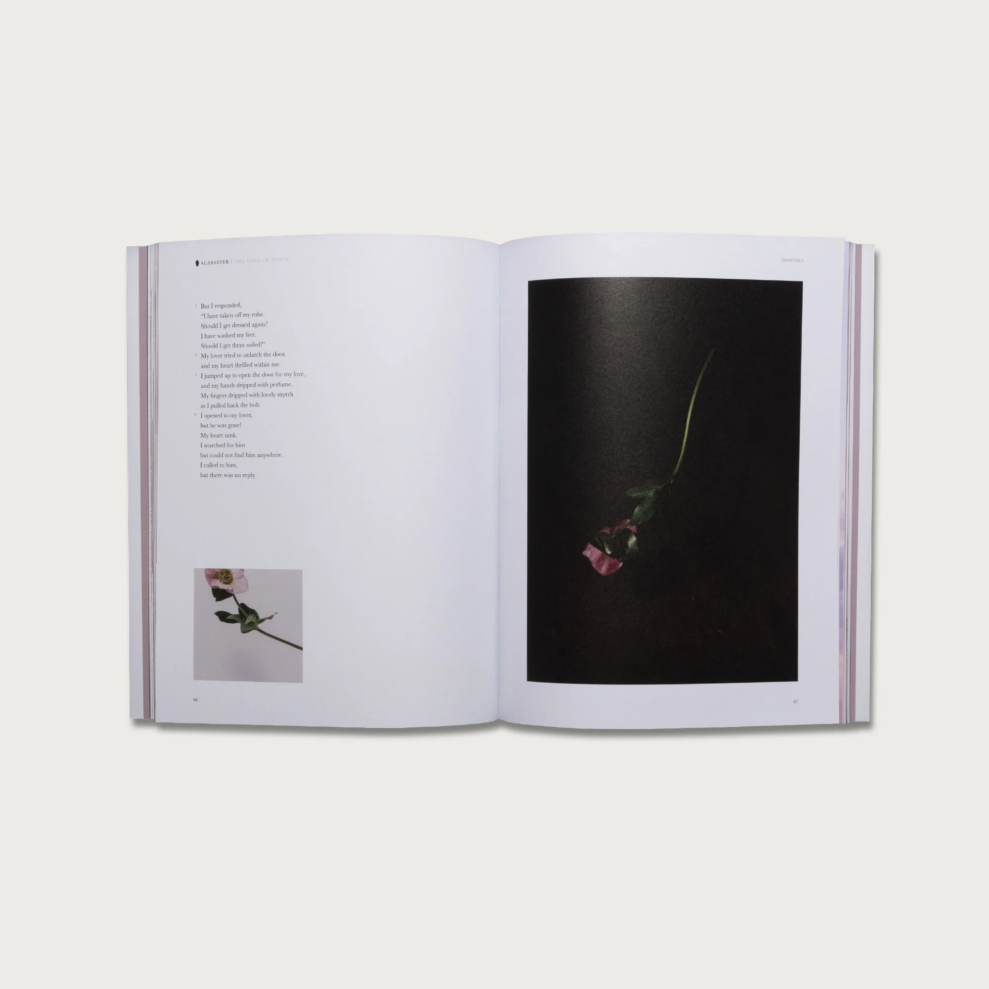 The Song of Songs - Image 4