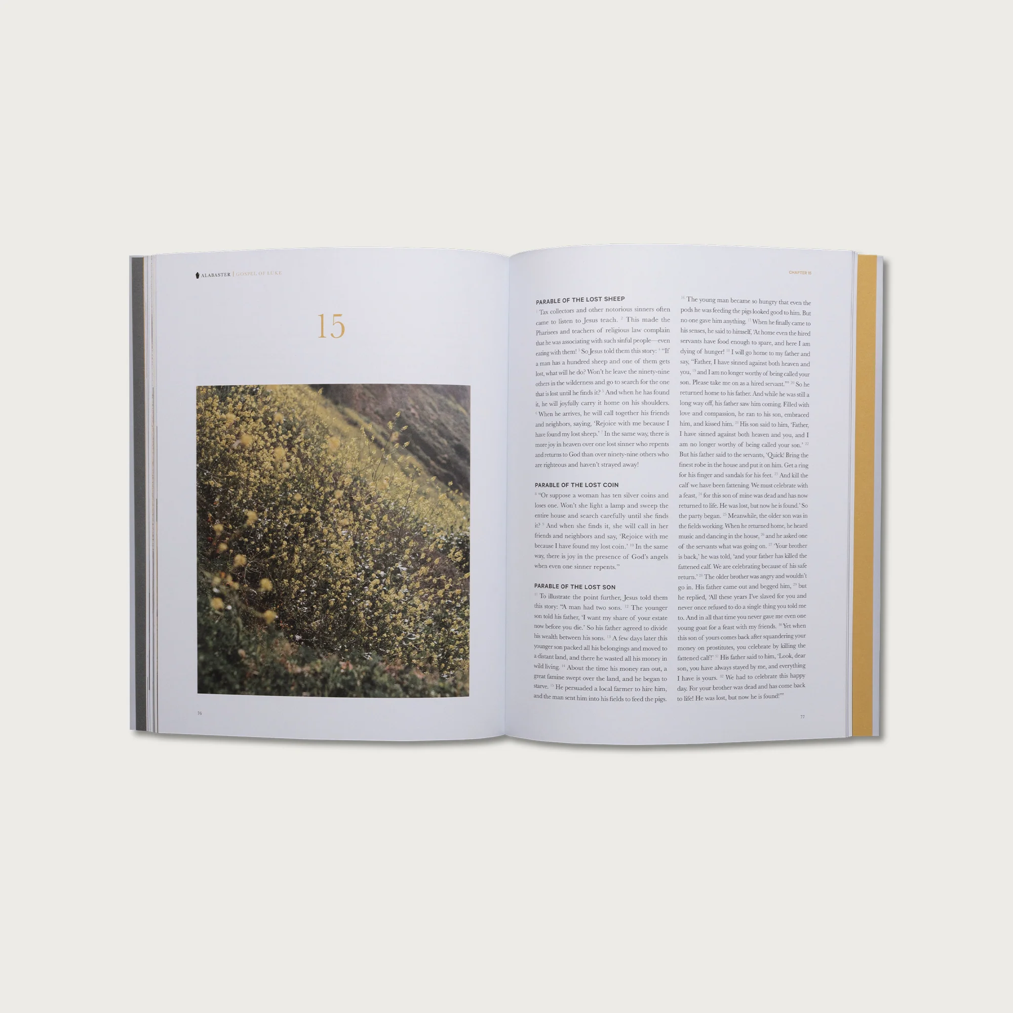 The Gospel of Luke - Image 4