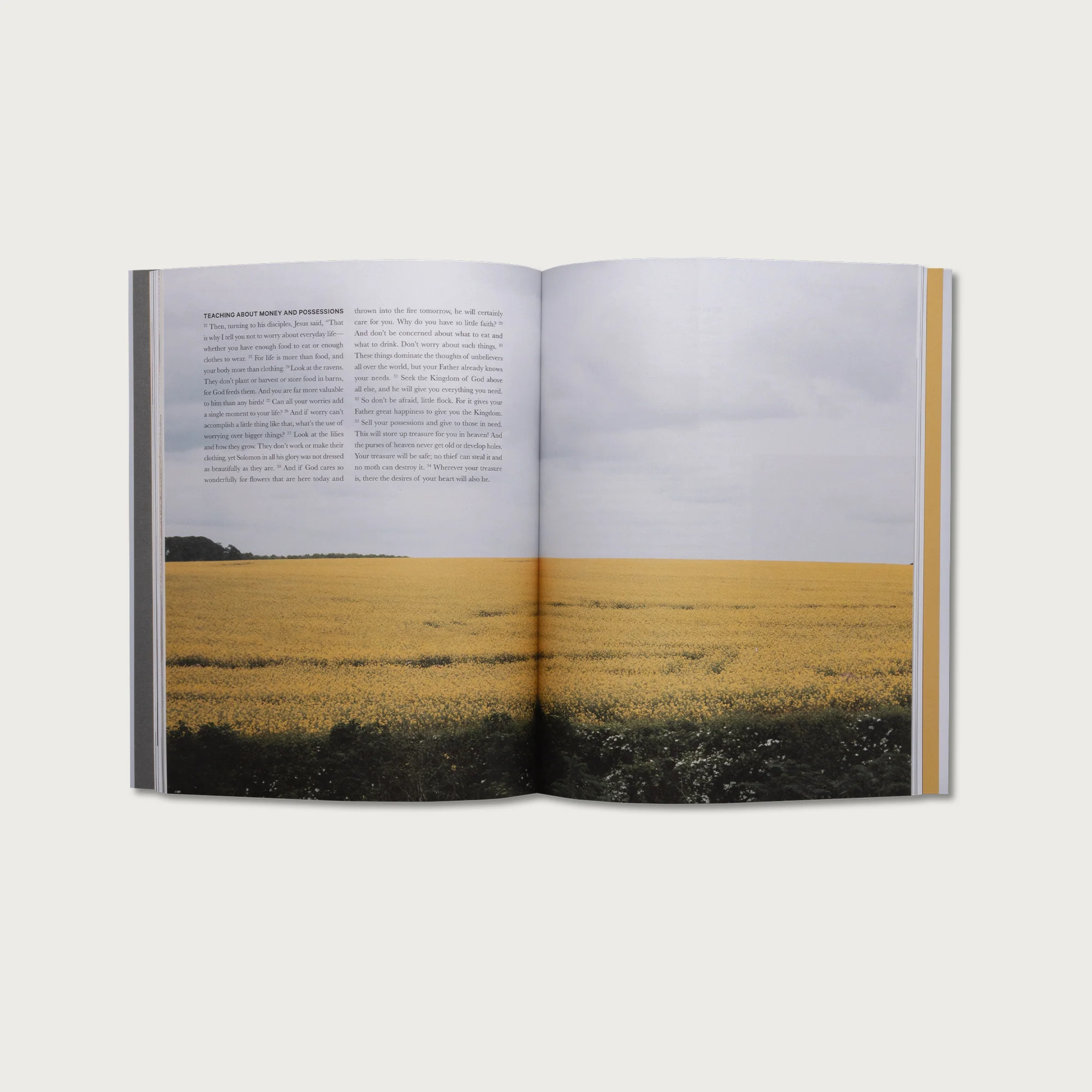 The Gospel of Luke - Image 3