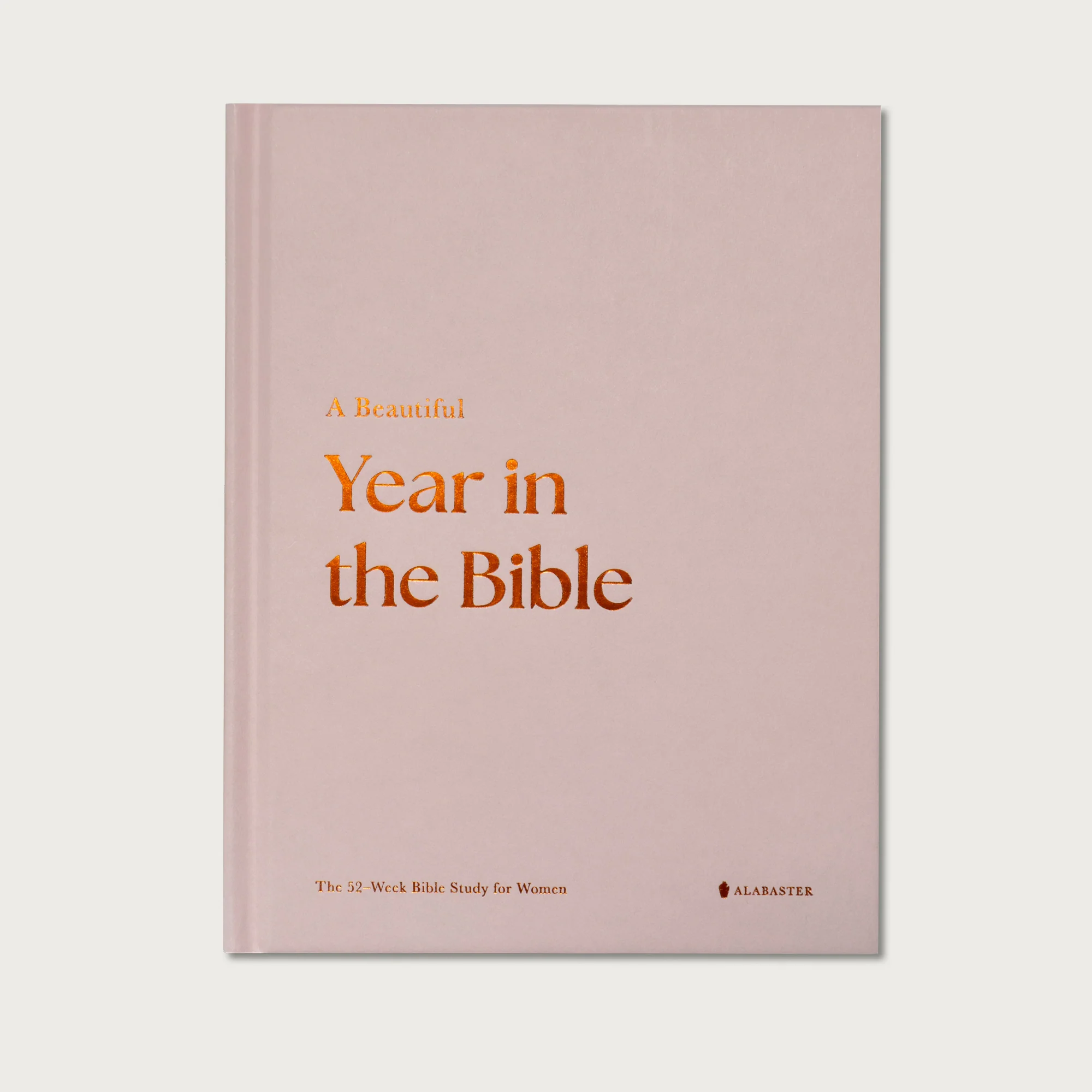 A Beautiful Year in the Bible: The 52-Week Bible Study for Women - Image 6