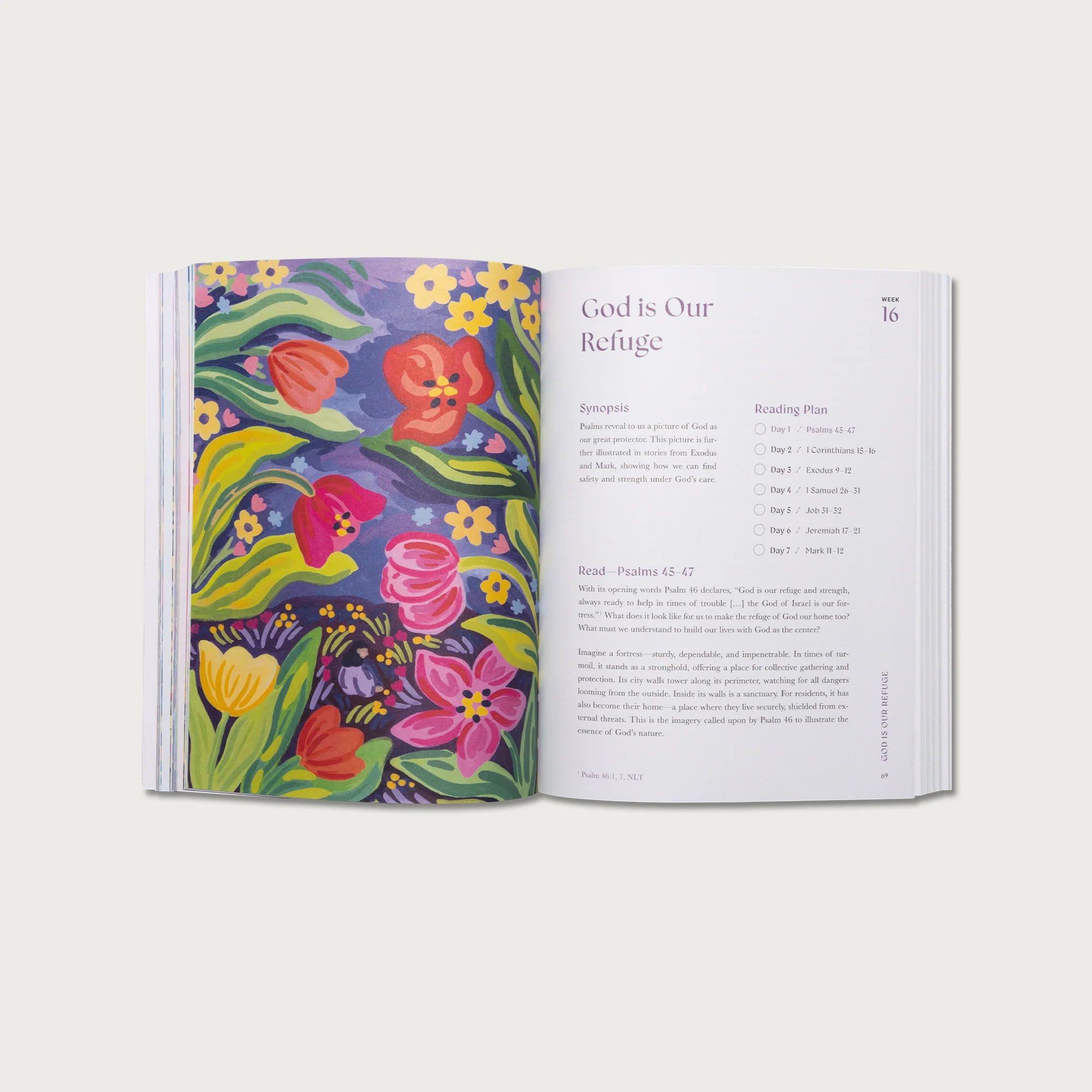A Beautiful Year in the Bible: The 52-Week Bible Study for Women - Image 4