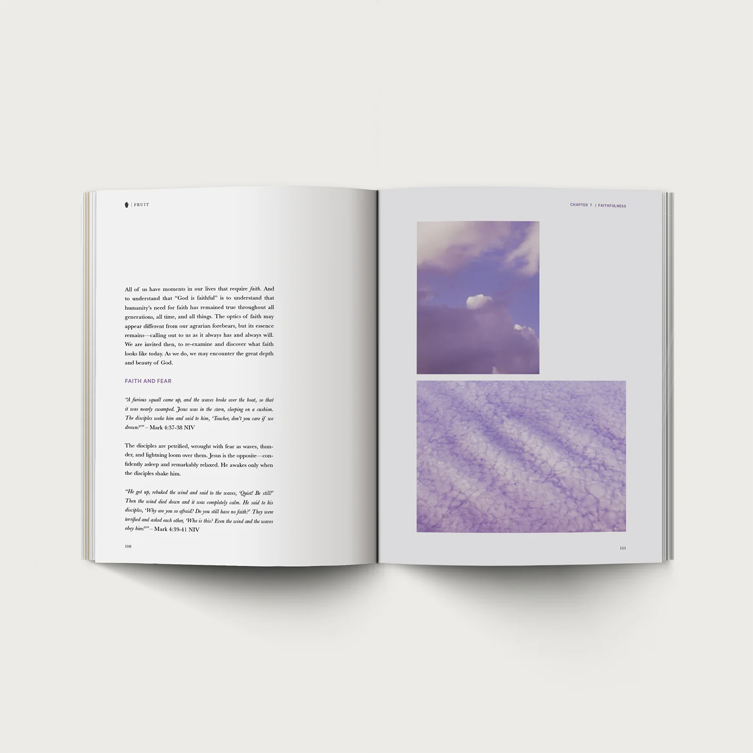 Fruit - Image 7