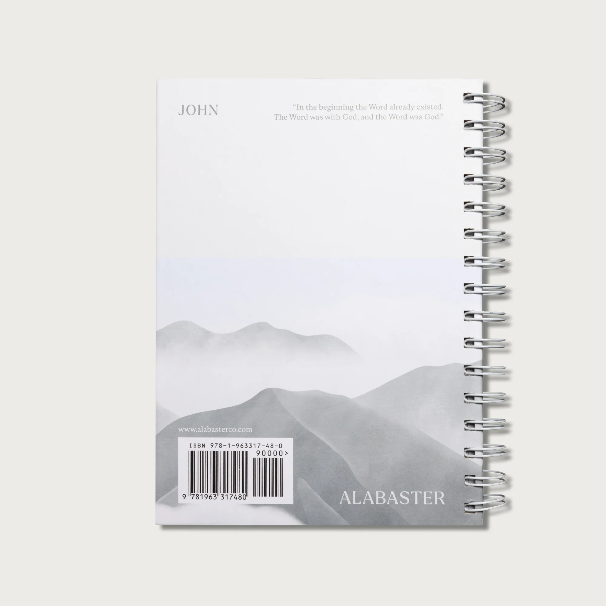 The Gospels: Journal Bibles - Image 42