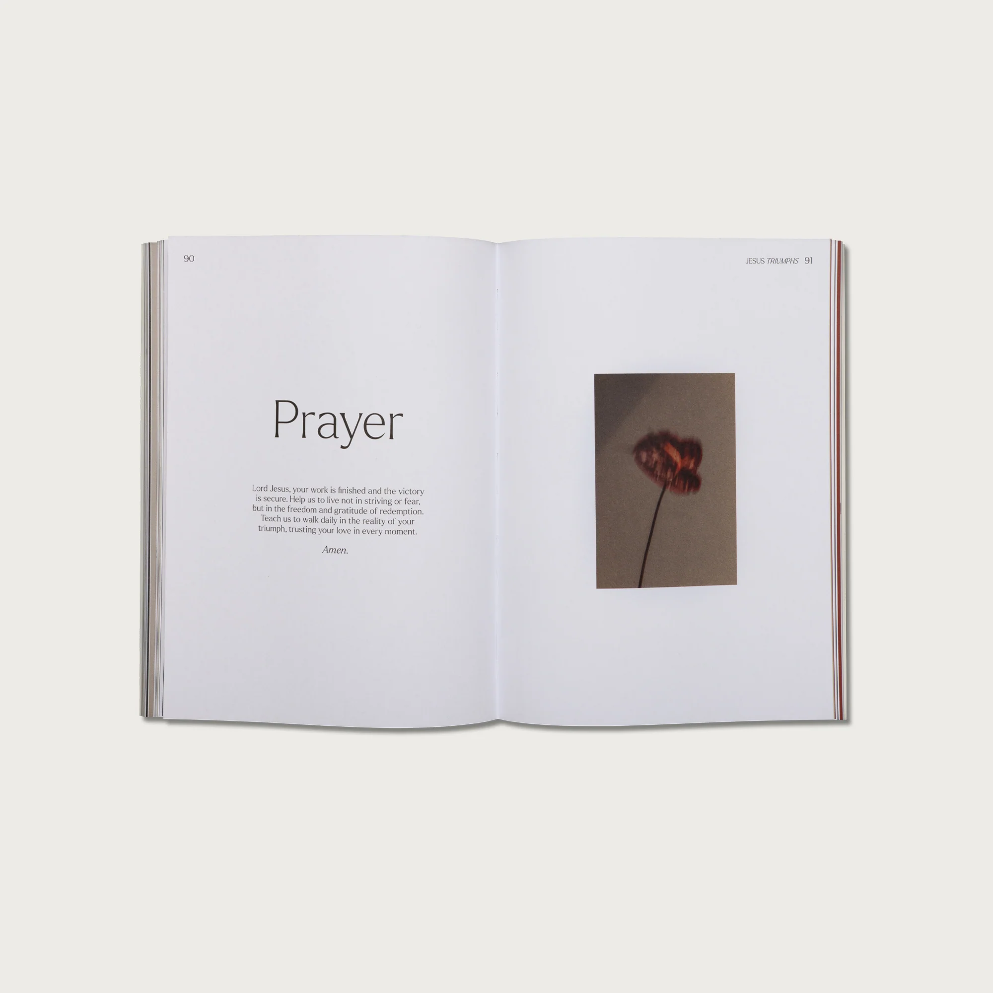 Lent Pairing - Image 8