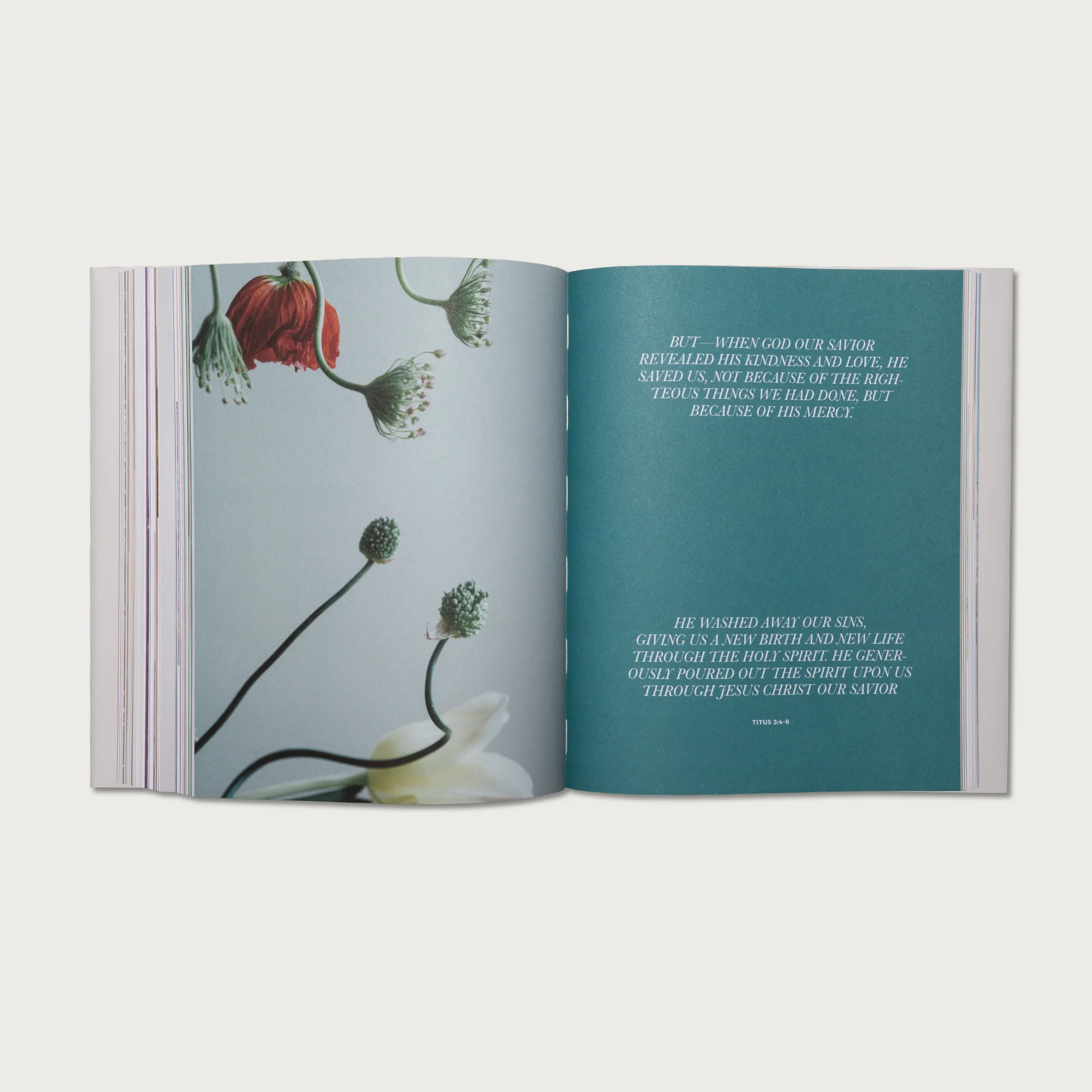 The Letters - Image 6