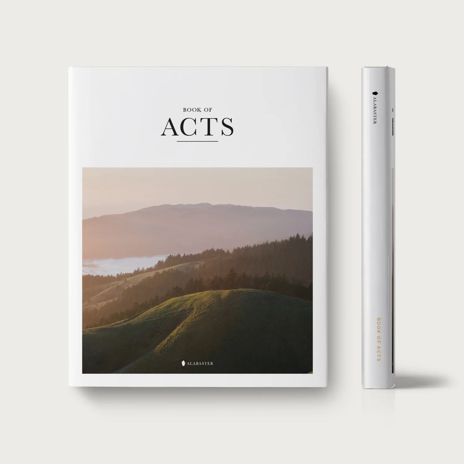 The Book of Acts - Image 7