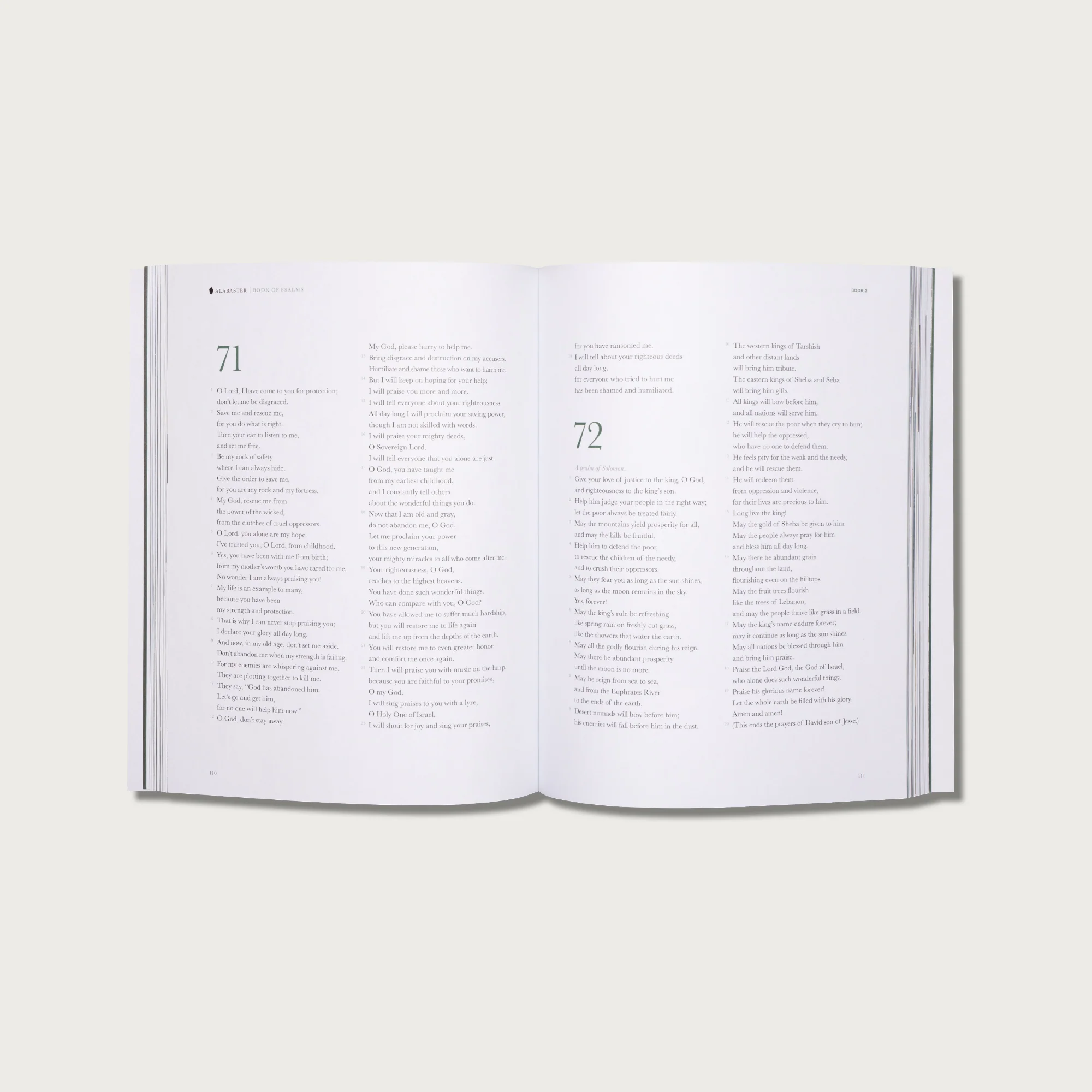 The Book of Psalms - Image 4