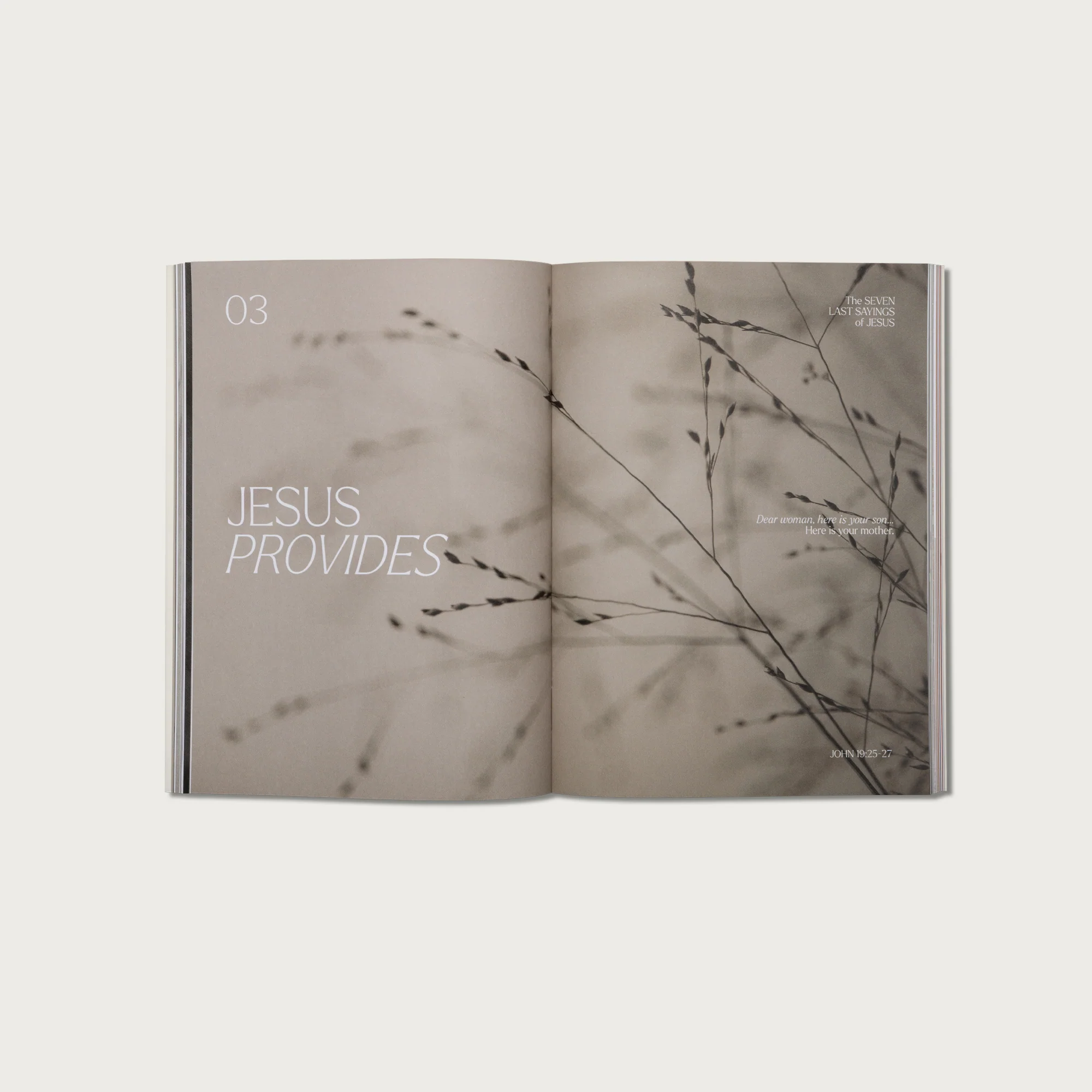 The 7 Last Sayings of Jesus: A 40-Day Bible Devotional for Journeying to the Cross - Image 9