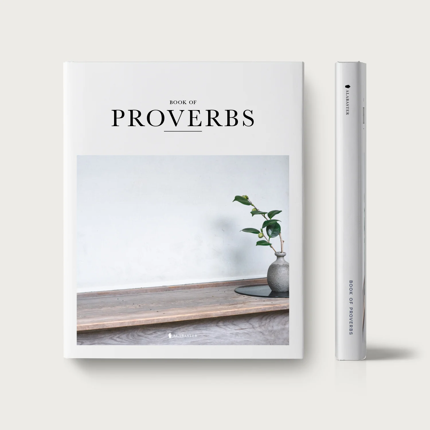 The Book of Proverbs - Image 7
