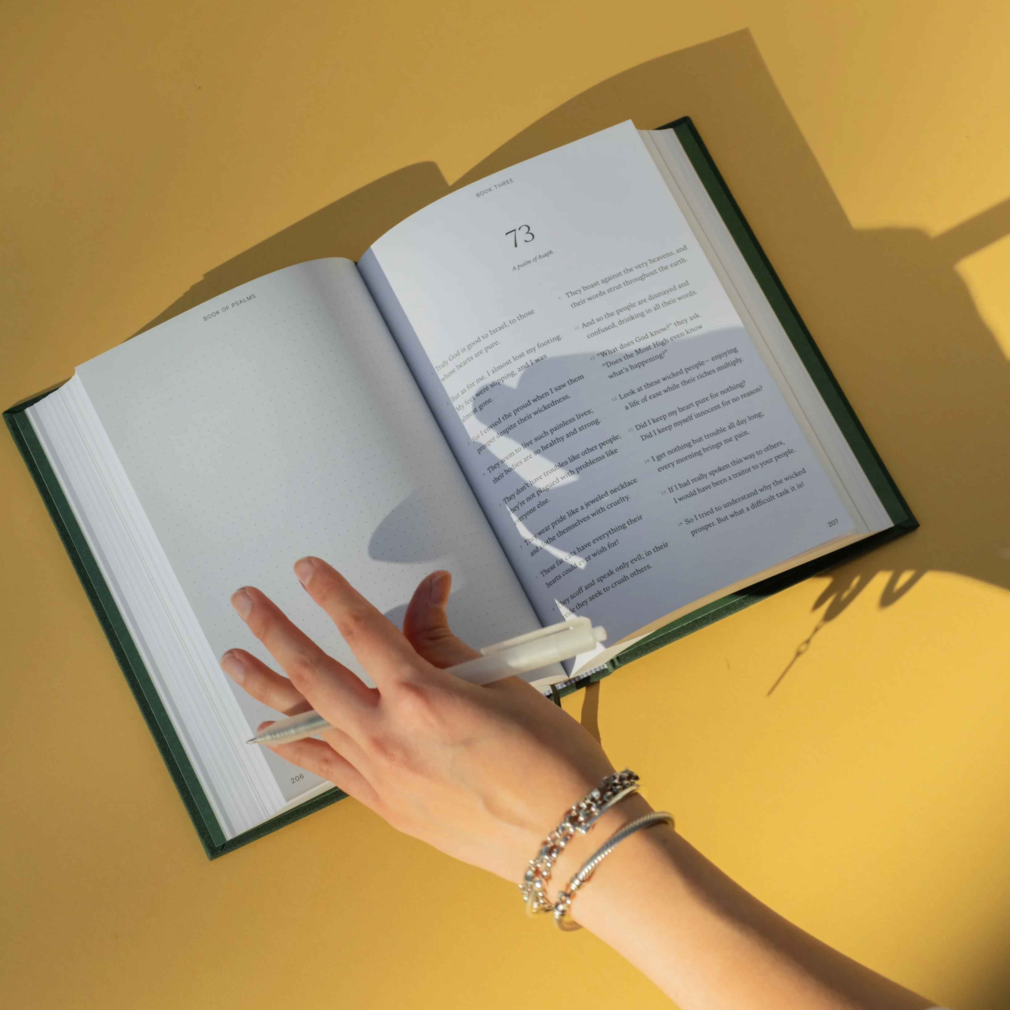 The Book of Psalms Journal Bible - Image 3