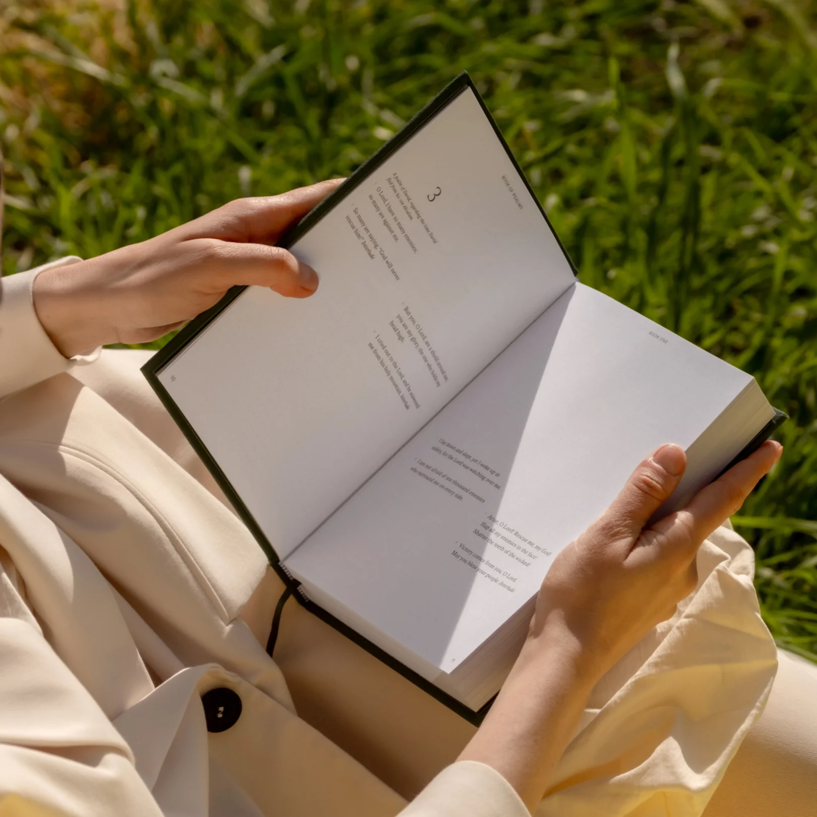 The Book of Psalms Journal Bible - Image 4
