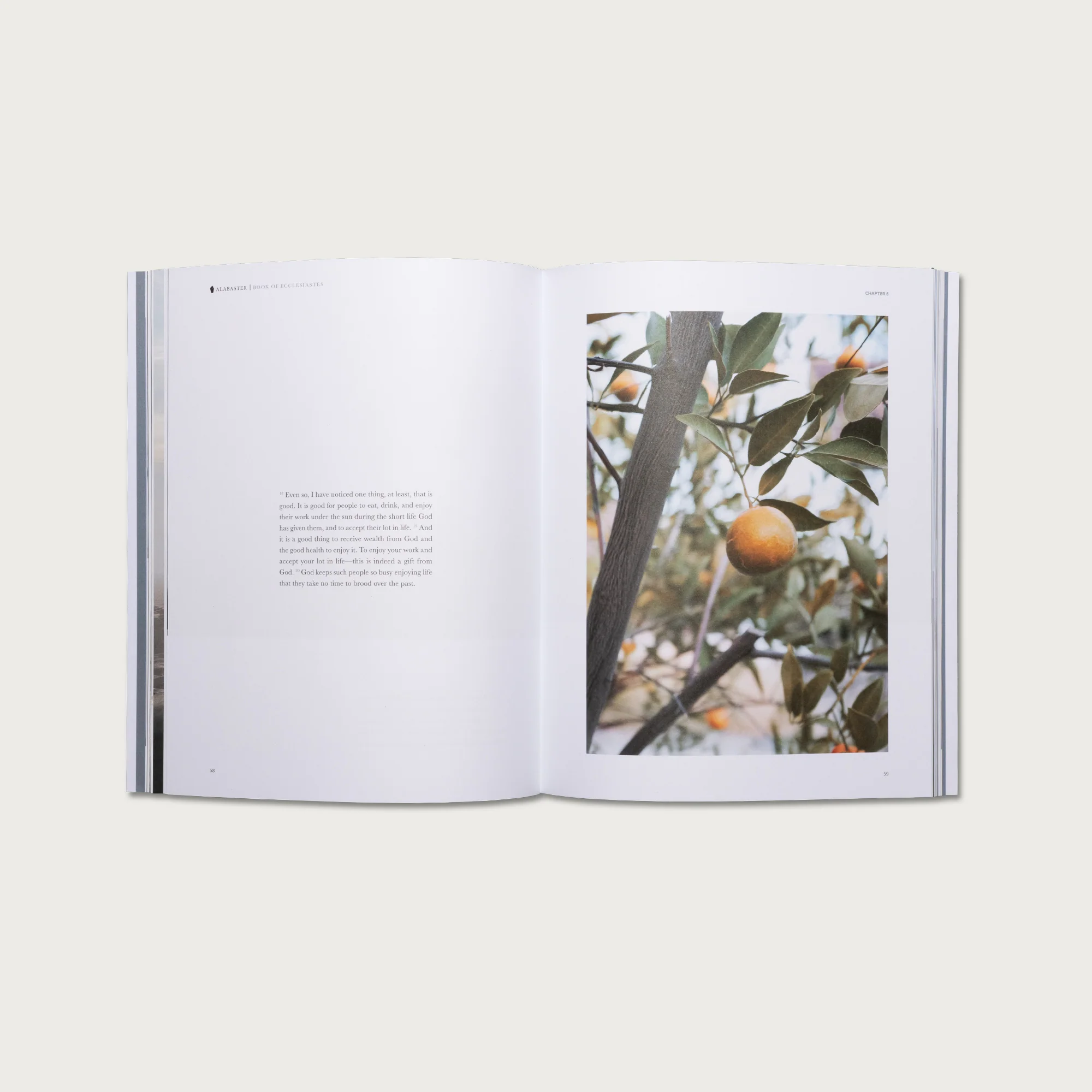 The Book of Ecclesiastes - Image 4