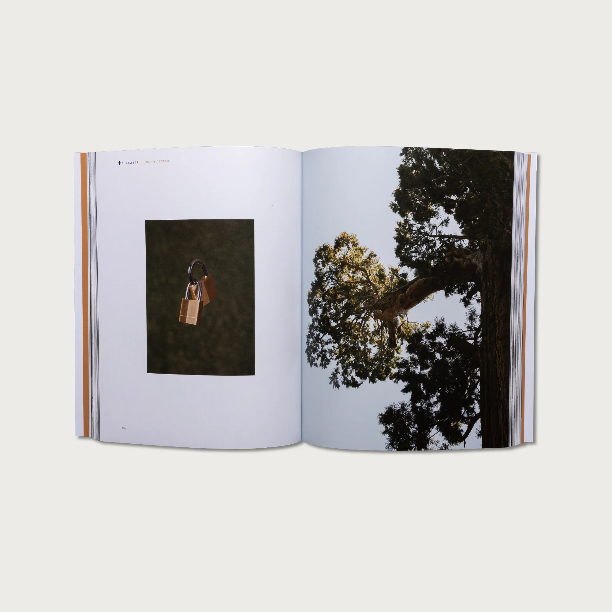 The Complete Bible Collection - Image 3