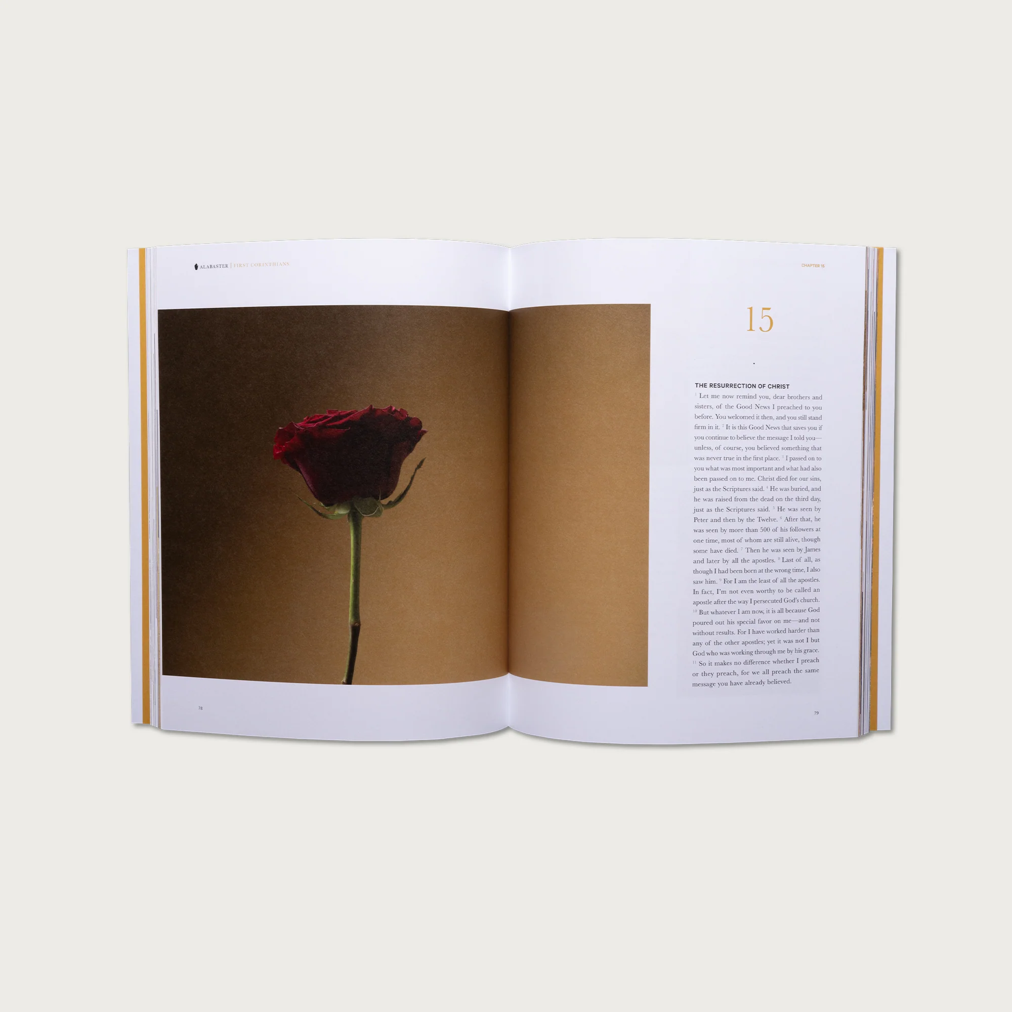 The Book of First & Second Corinthians - Image 5