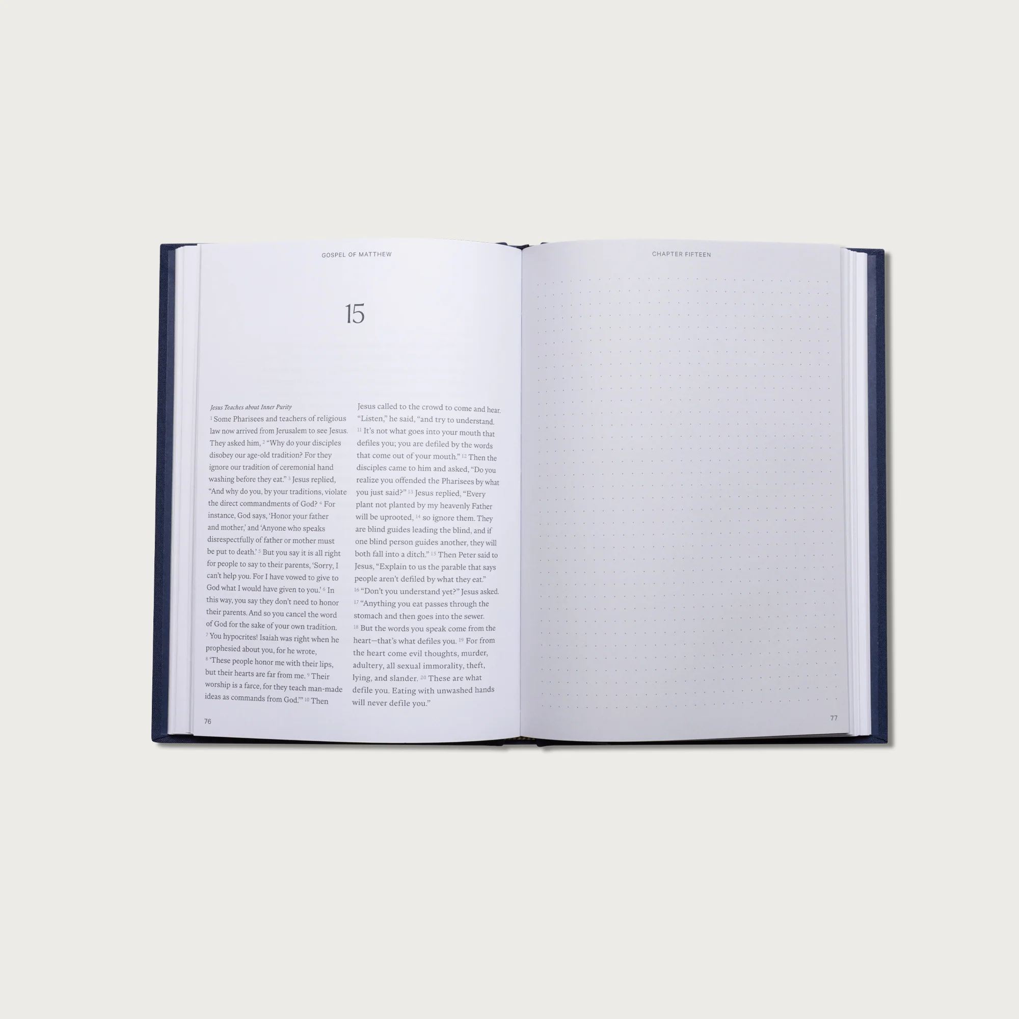The Gospel of Matthew Journal Bible - Image 8