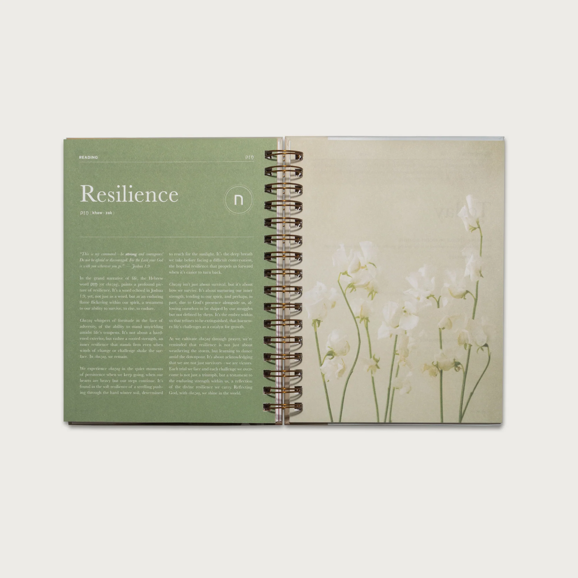 The Prayer Journal - Image 9