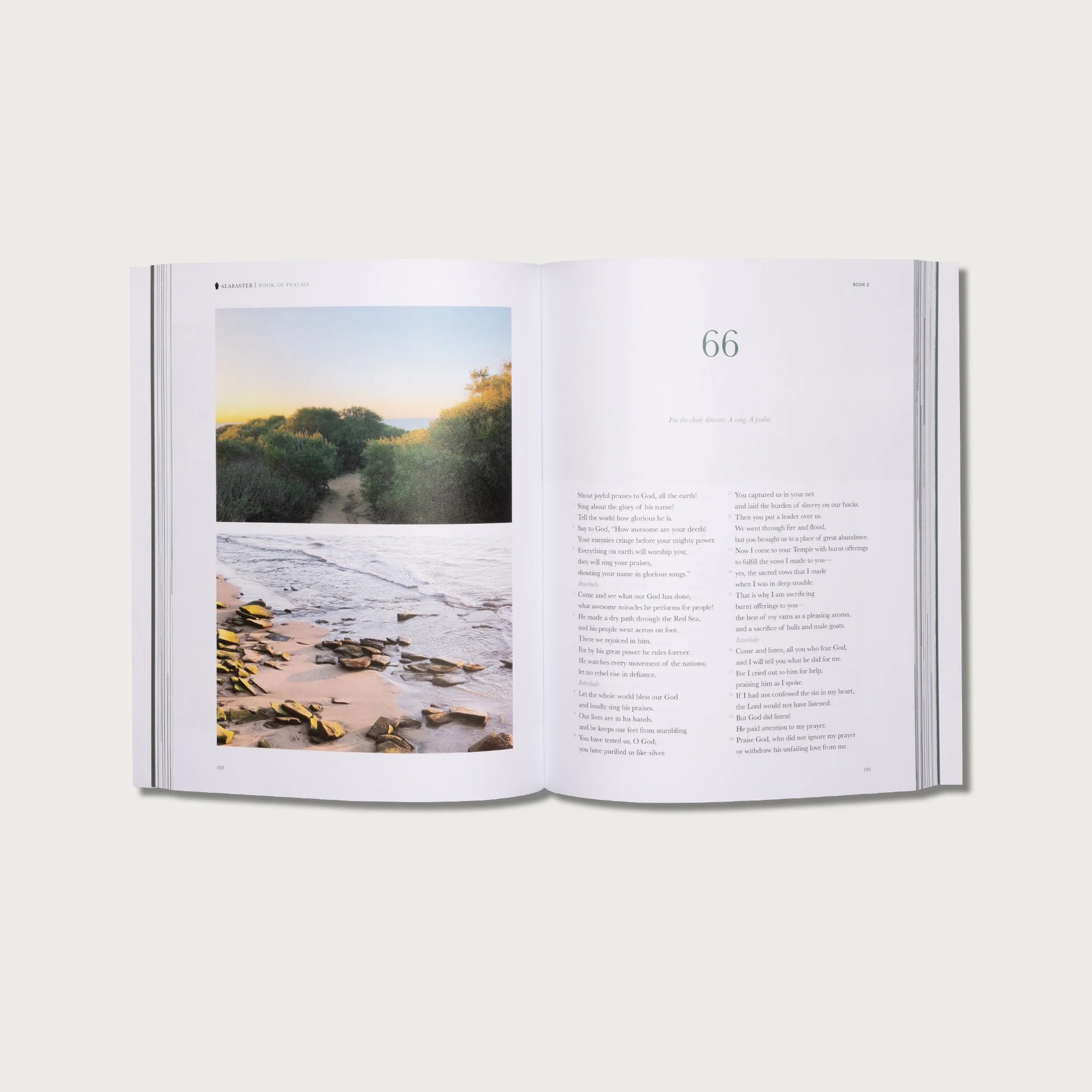The Book of Psalms - Image 3