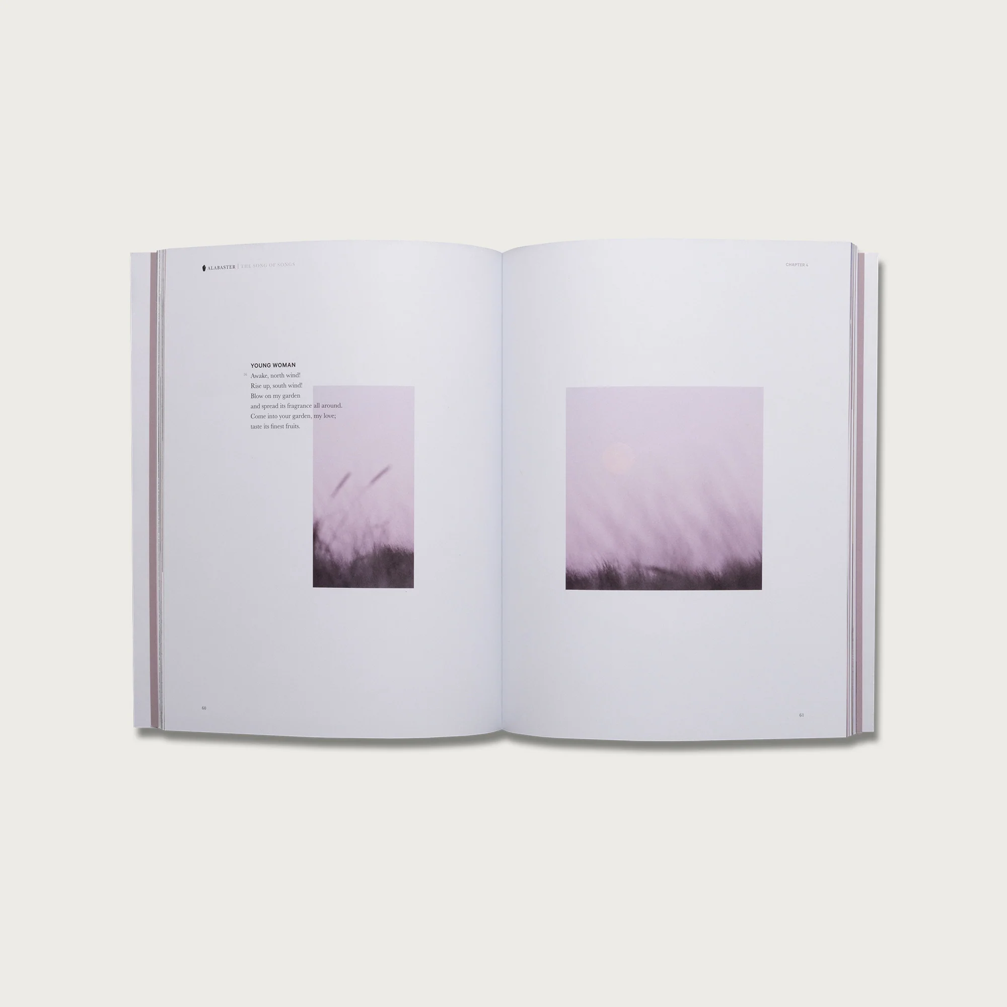 The Song of Songs - Image 3