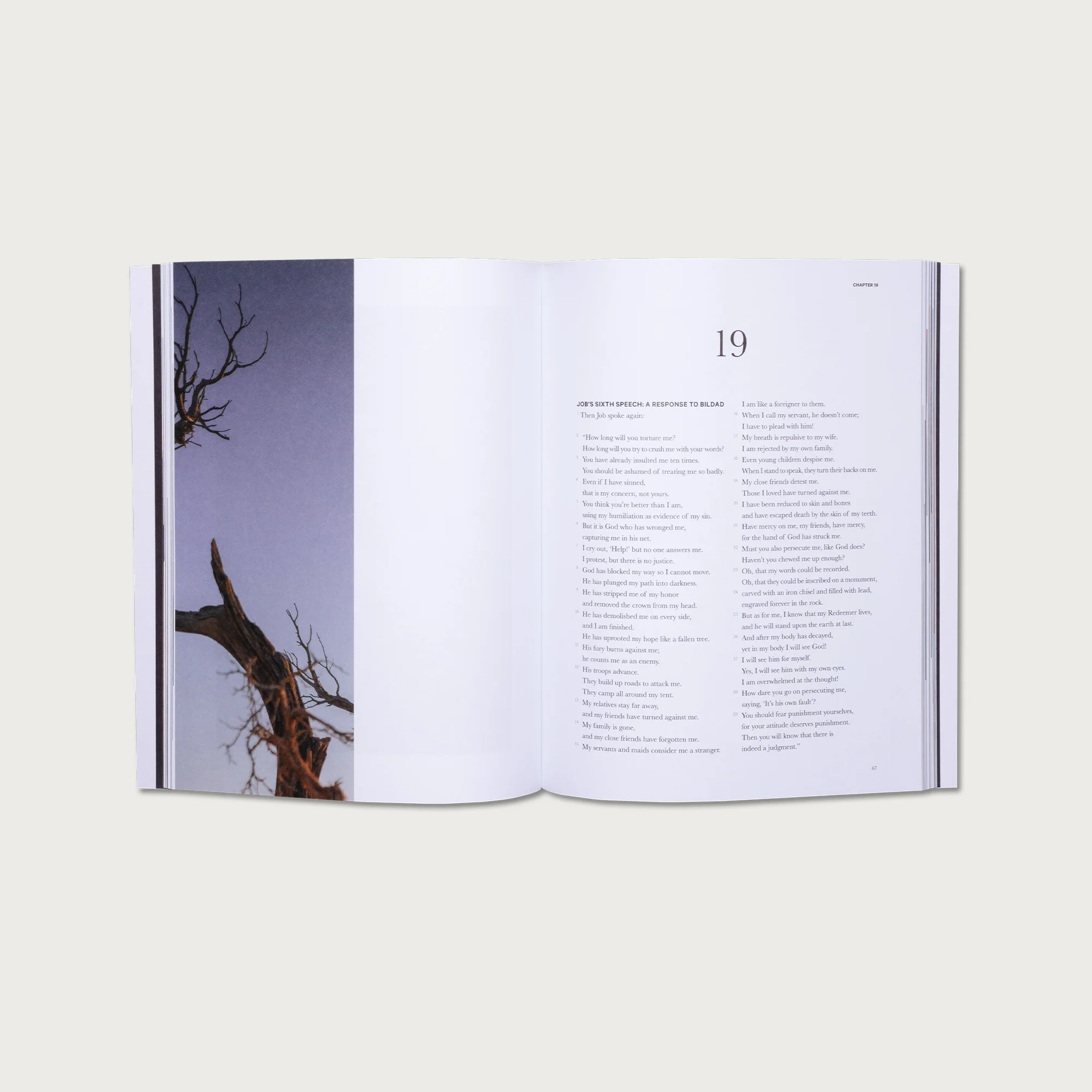 Wisdom Collection - Image 8