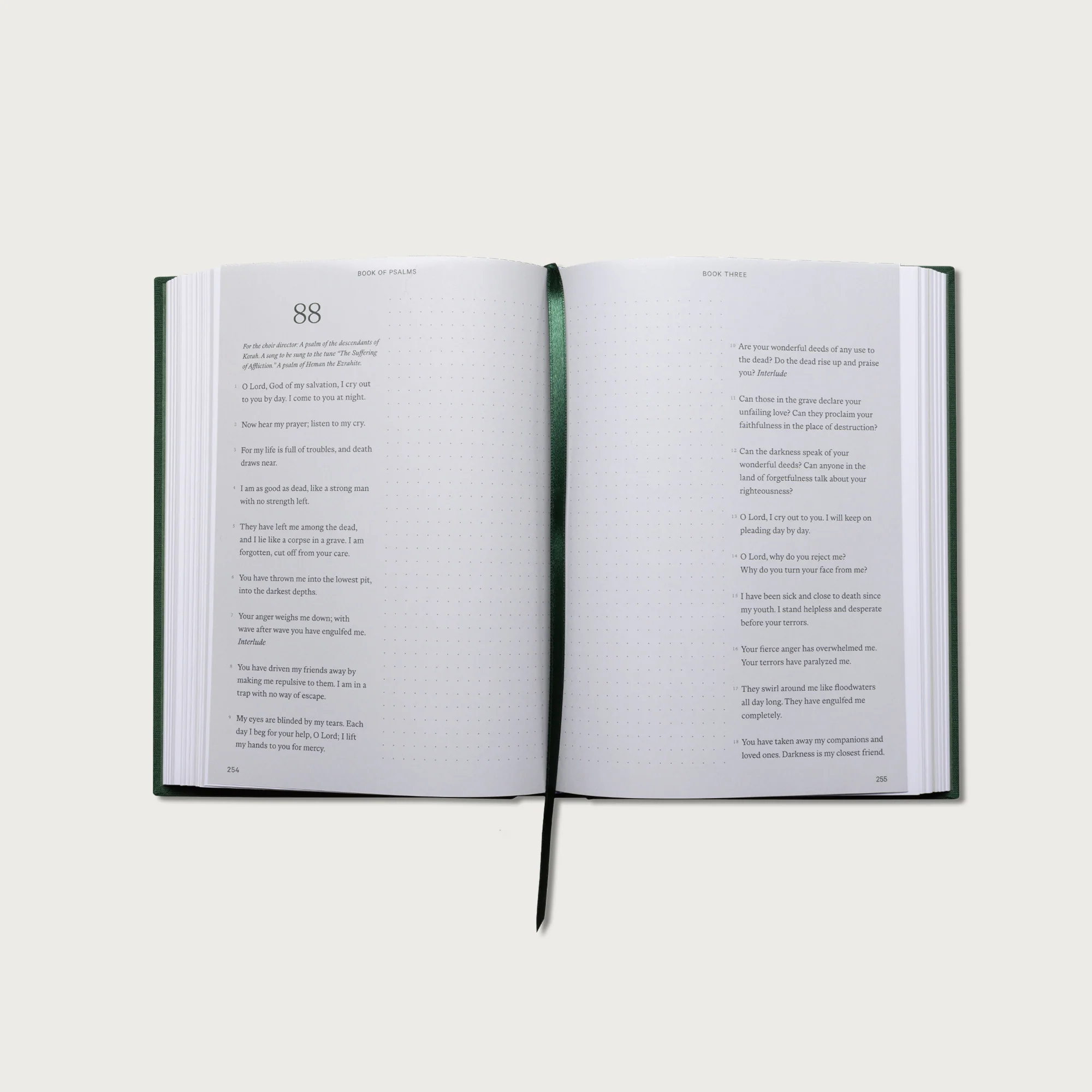 Wisdom Pairing: Journal Bibles - Image 13