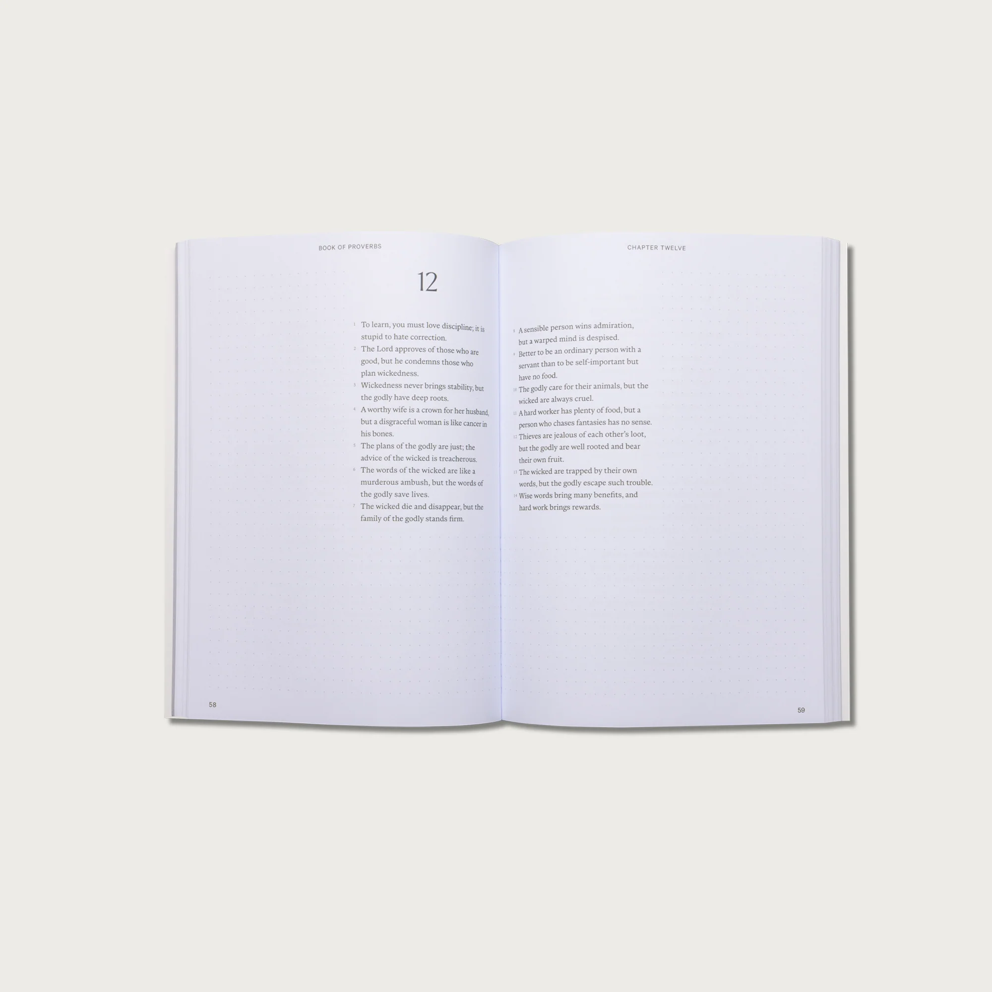 The Book of Proverbs Journal Bible - Image 5