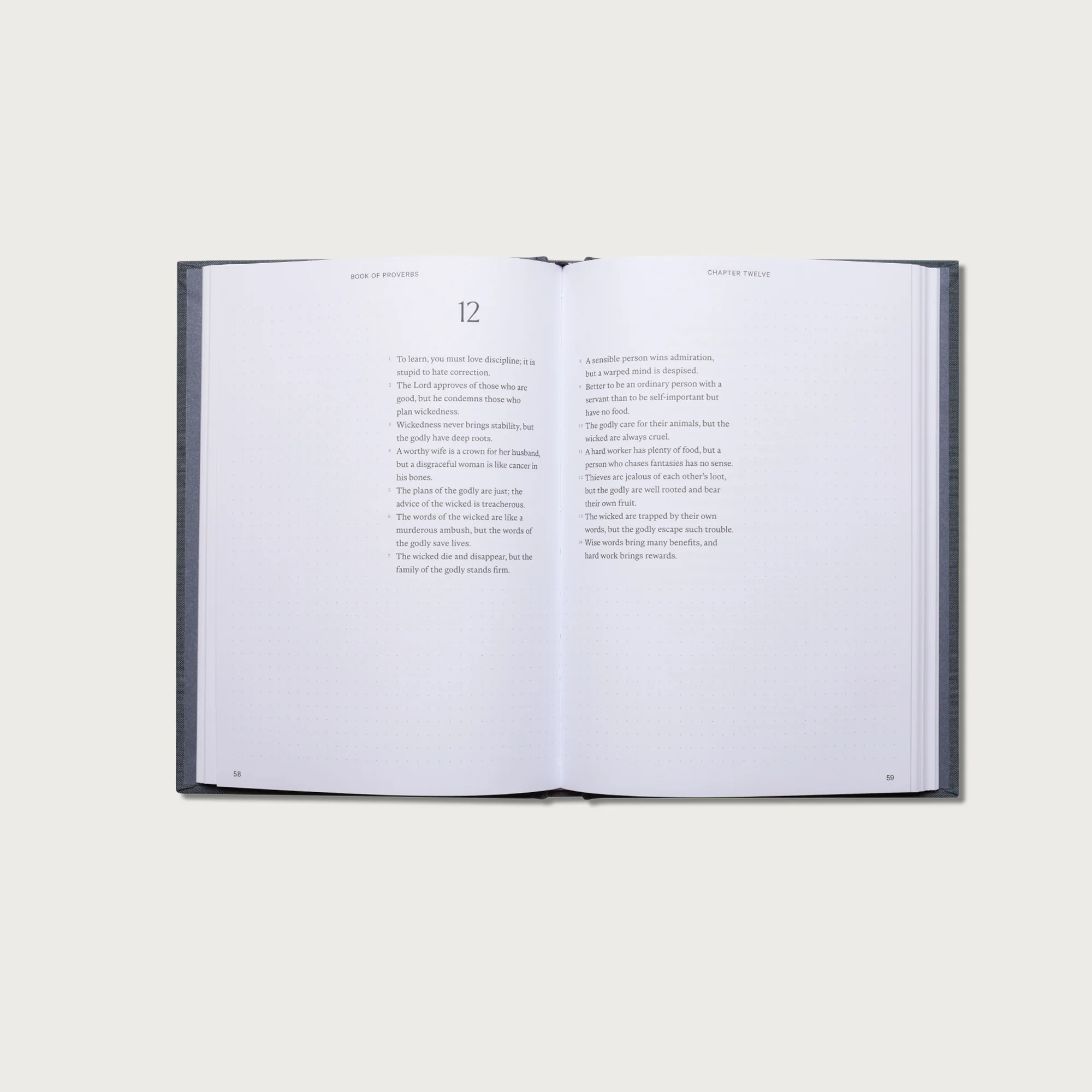 The Book of Proverbs Journal Bible - Image 9