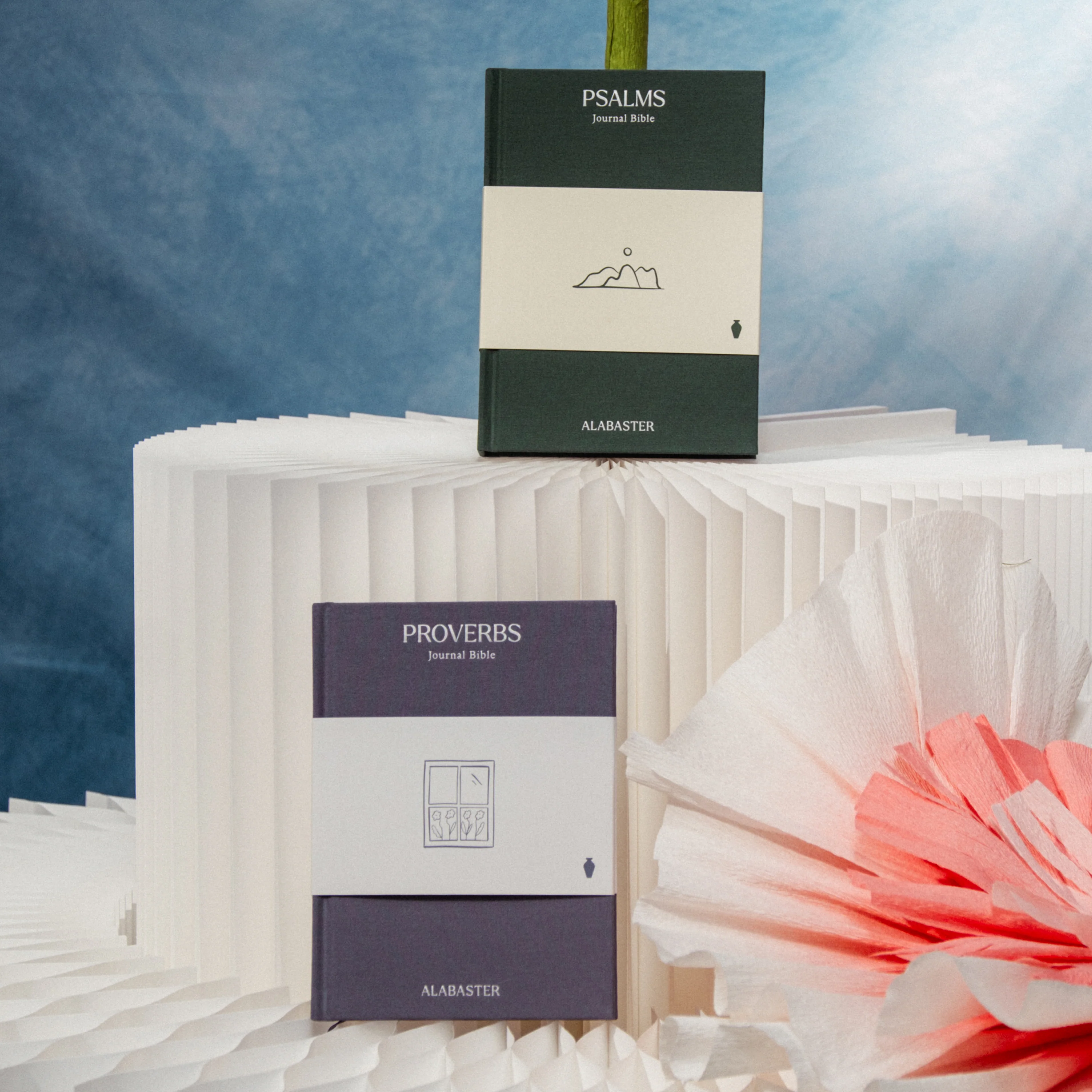 Wisdom Pairing: Journal Bibles - Image 3
