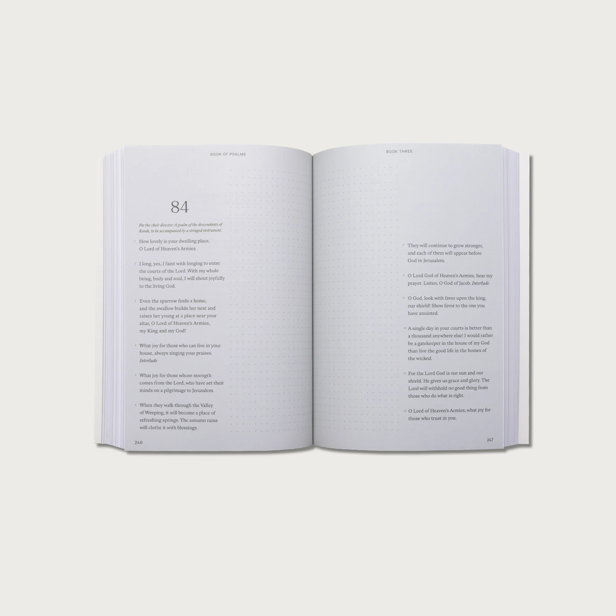 Wisdom Pairing: Journal Bibles - Image 8