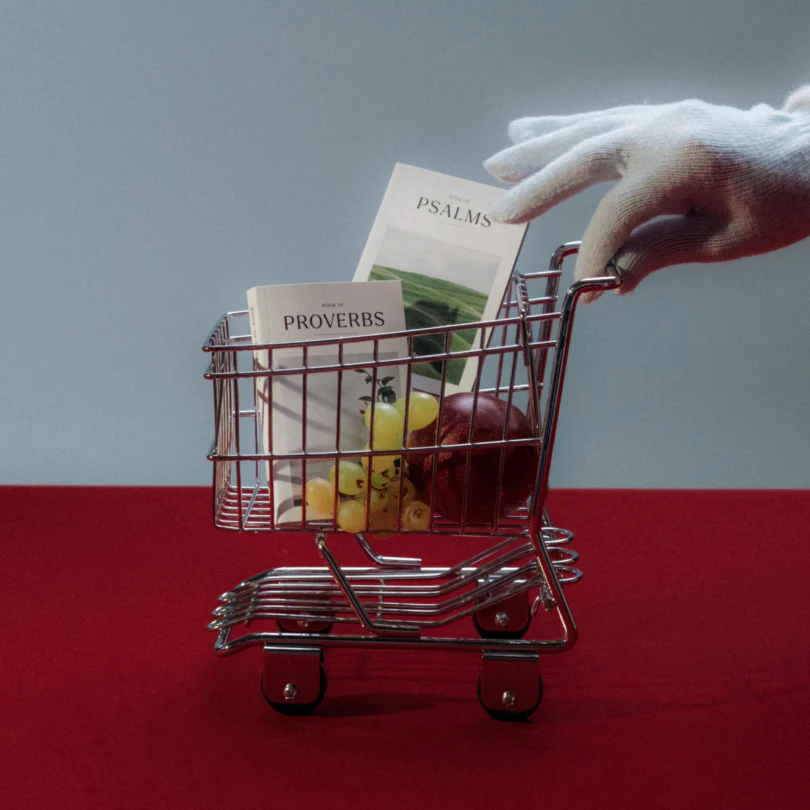 The Wisdom Pairing - Image 8