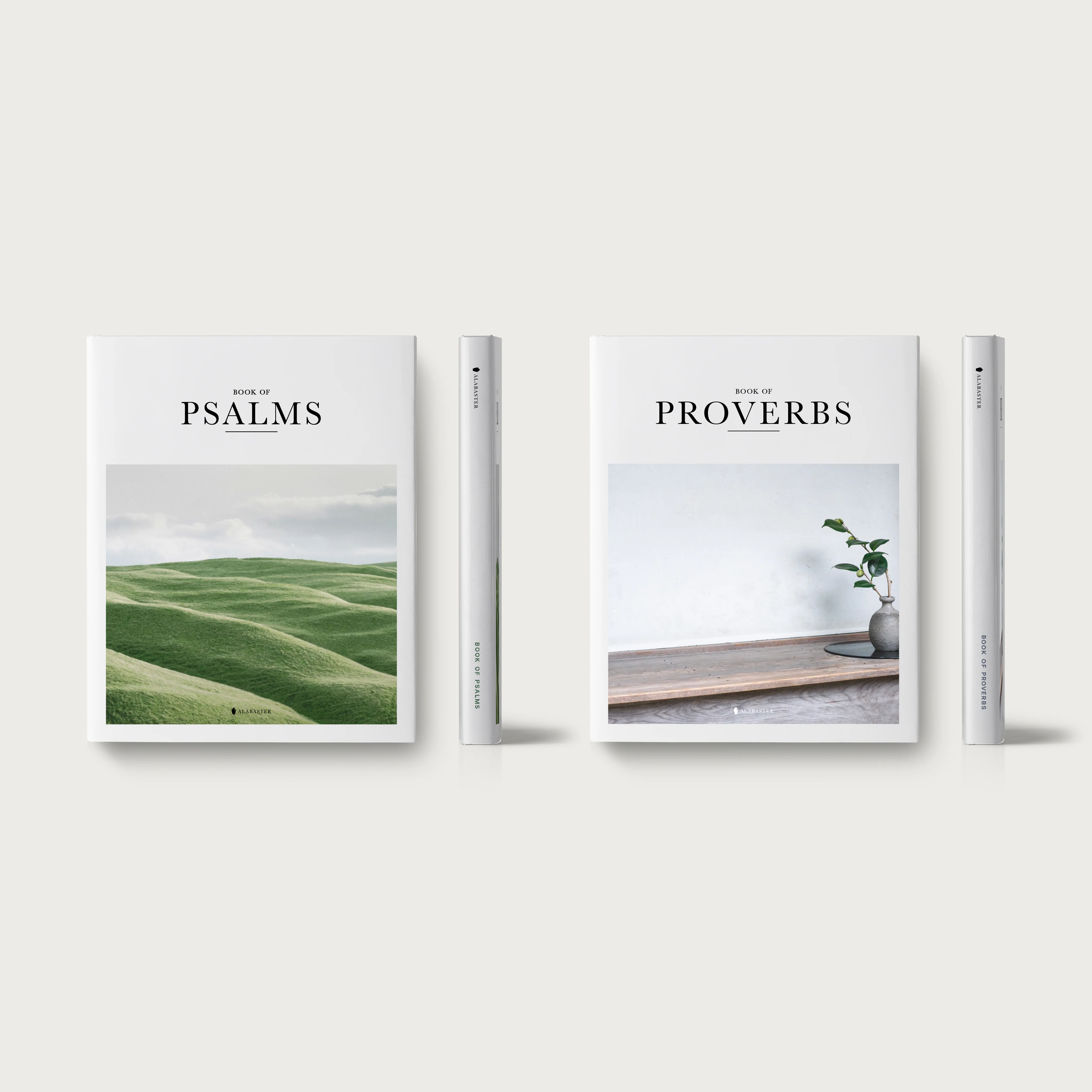 The Wisdom Pairing - Image 9