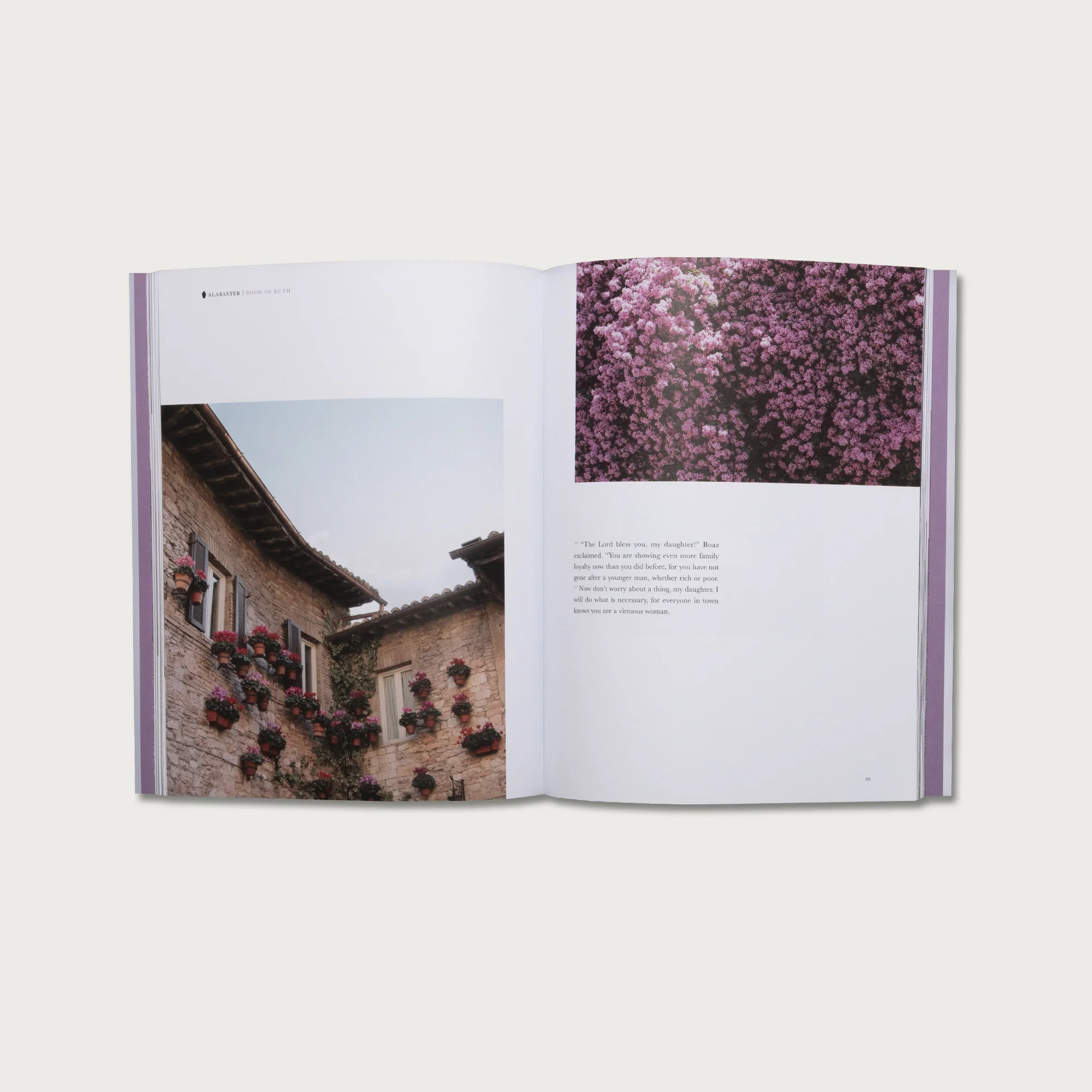 Women Narrative Pairing: Esther & Ruth - Image 7